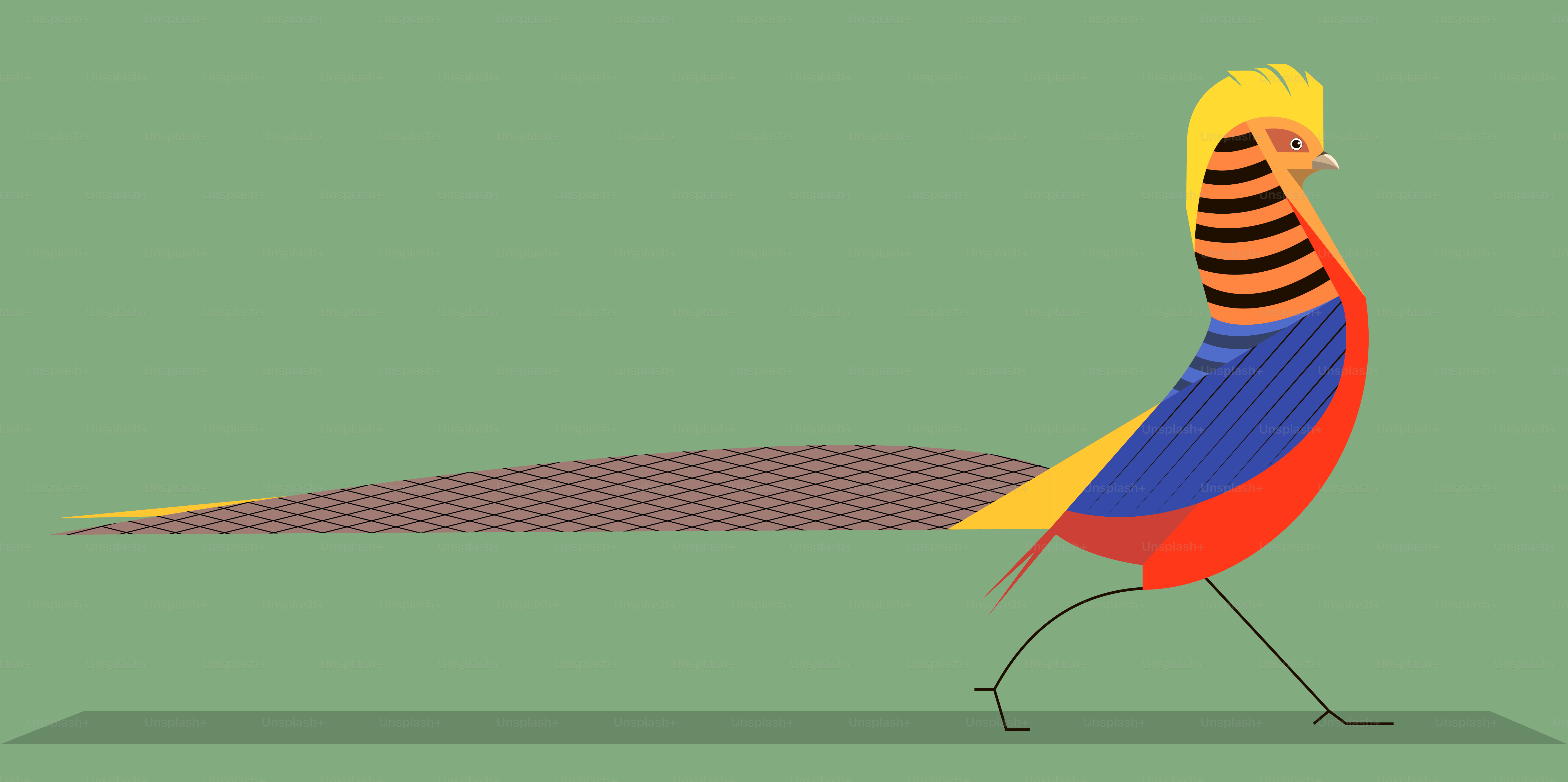 Golden pheasant on a green background, minimalist style