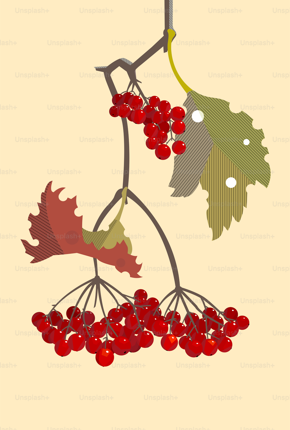 A branch of red viburnum in the fall, minimalist style