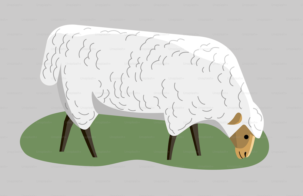 Pecore al pascolo nell'erba, stile minimalista