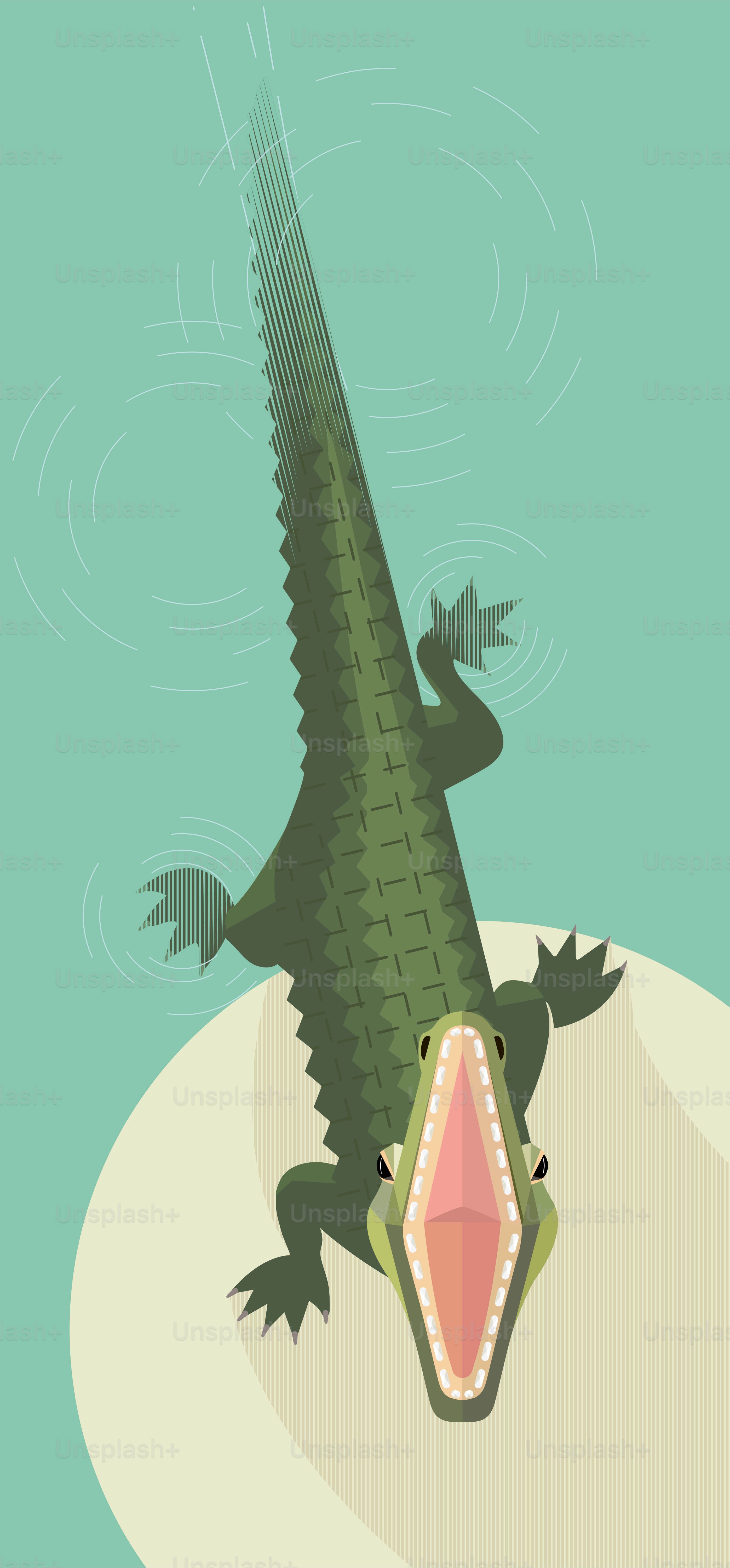 Crocodile attacks from the water, wide open mouth, minimalistic image  vector – Animal Image on Unsplash, image size:3000x6444