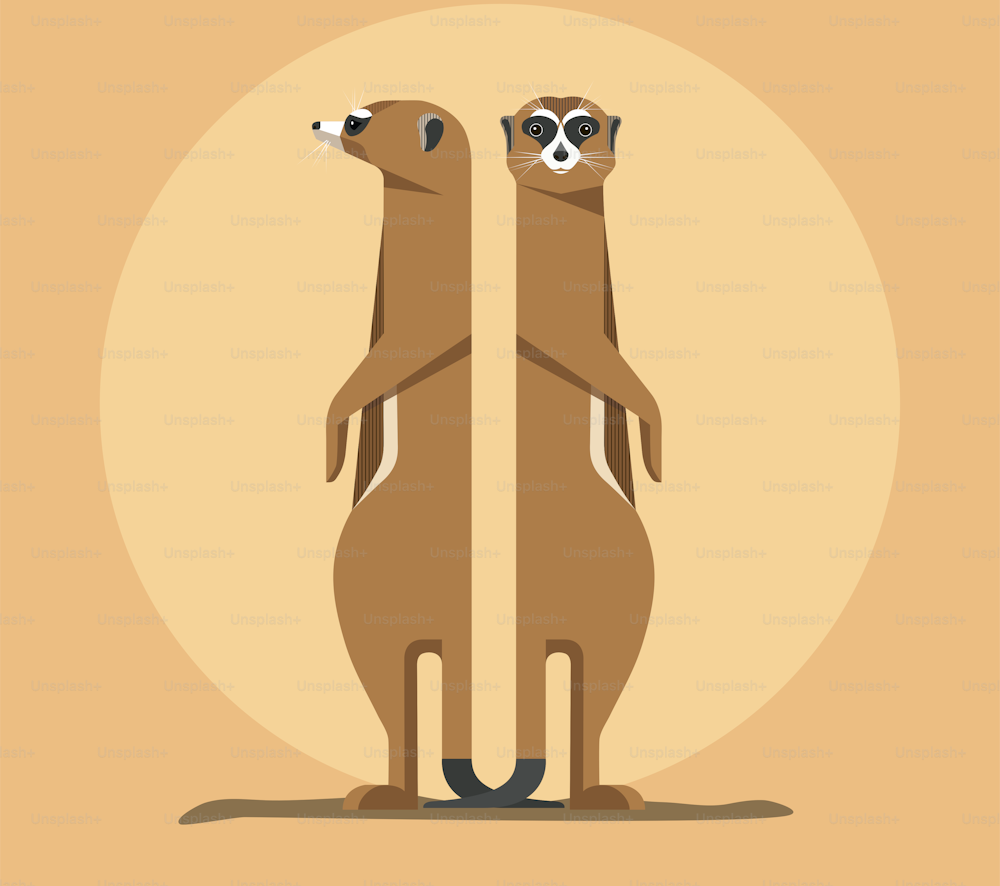 Two Meerkats stand on their hind legs and look closely at the sides, minimalistic illustration