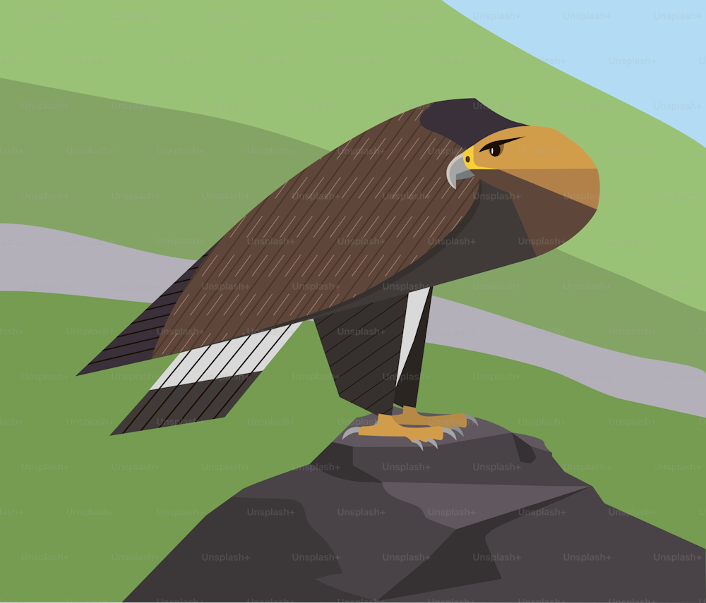 Golden Eagle is sitting on a rock and is vigilantly looking around on a green mountains background, minimalist image