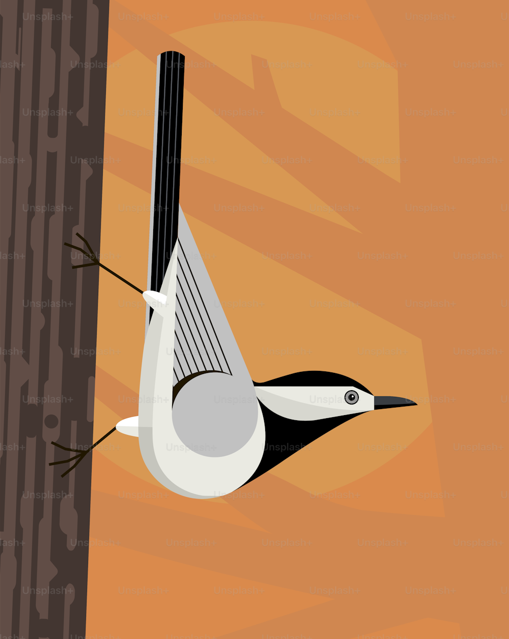 하얀 wagtail은 나무 줄기를 따라 고결하게 움직이며 양식화 된 이미지