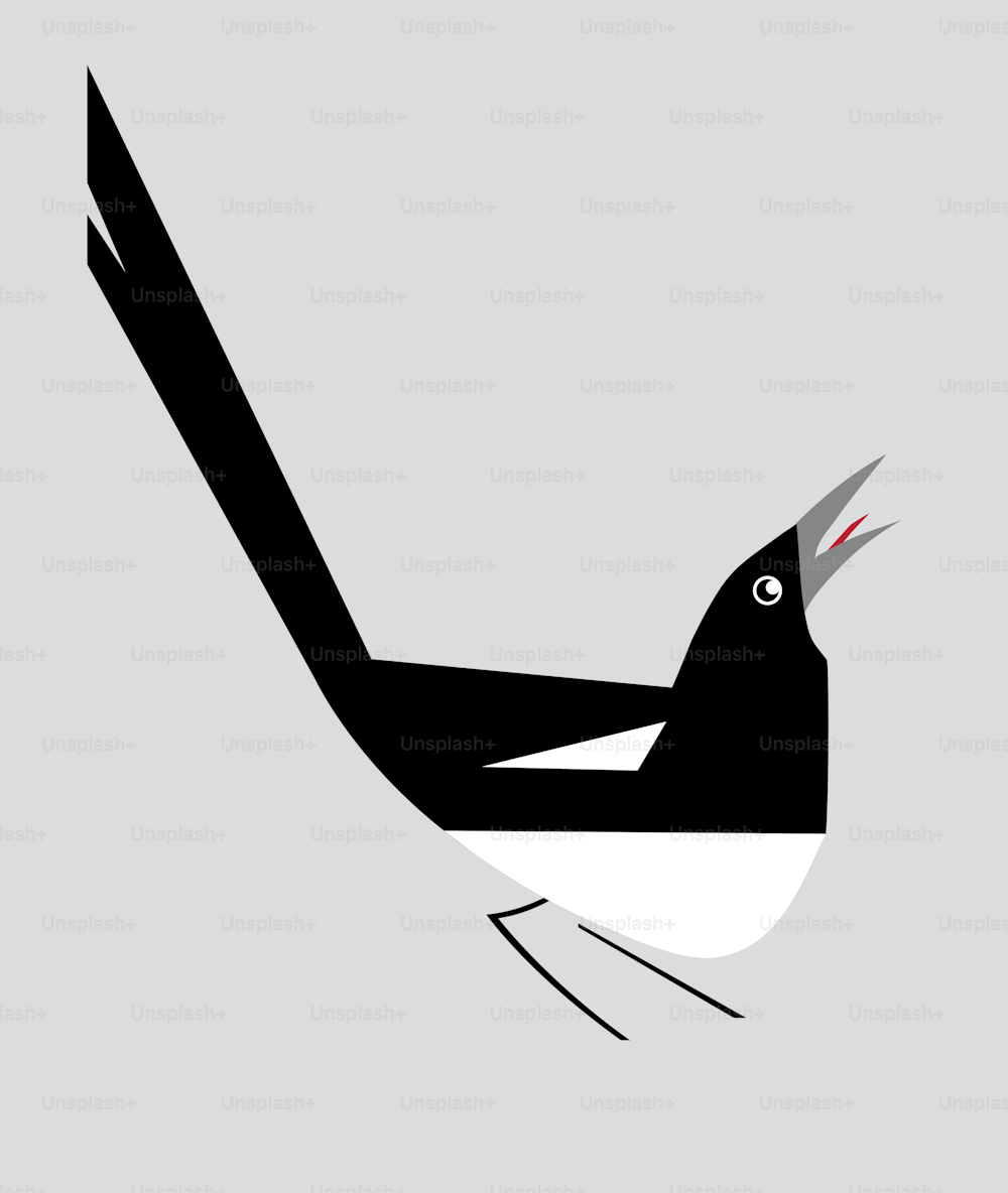 Minimalism image of magpie on a gray background