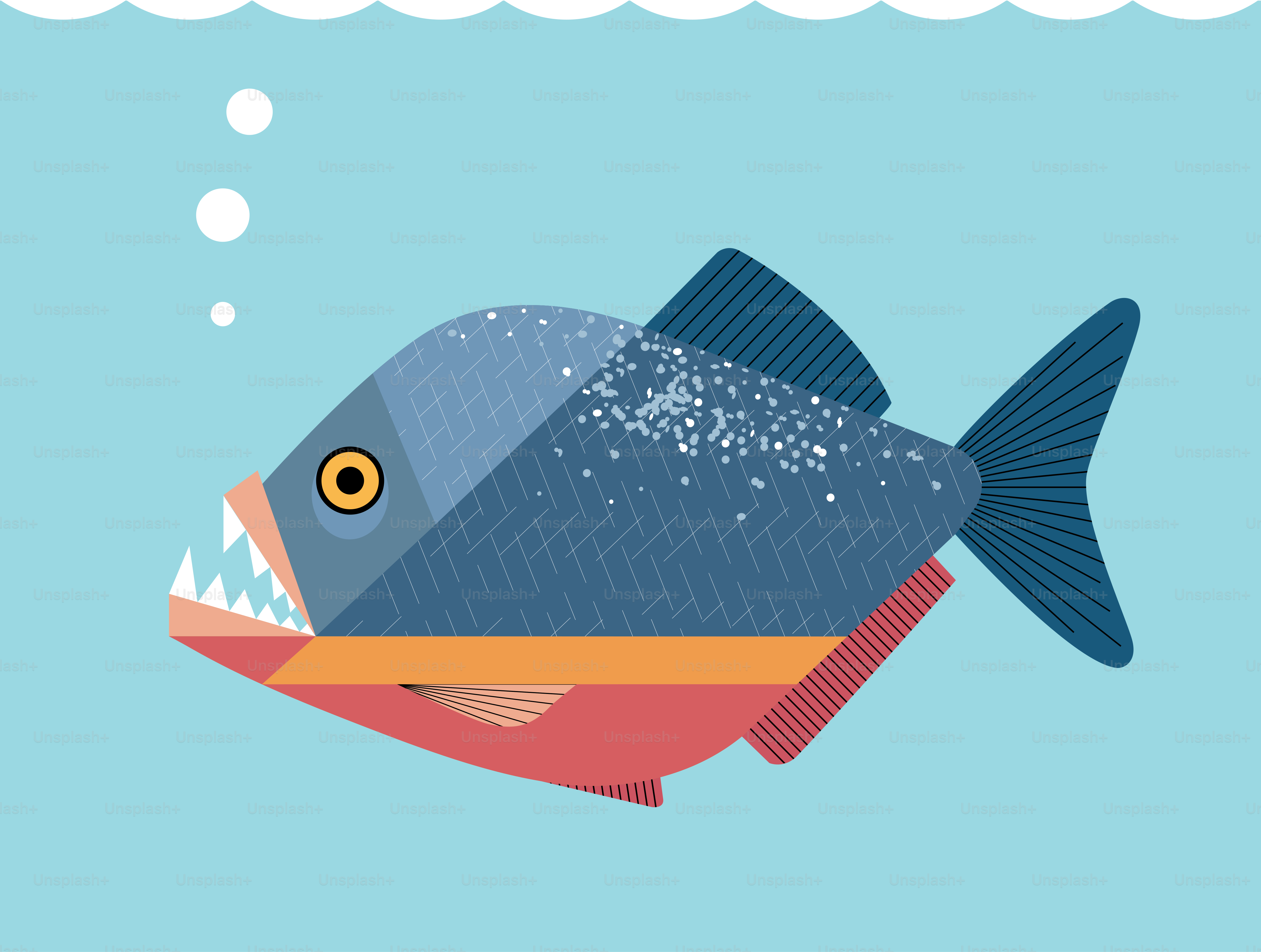 Pez piraña hermoso pero cruel sobre fondo azul, imagen minimalista