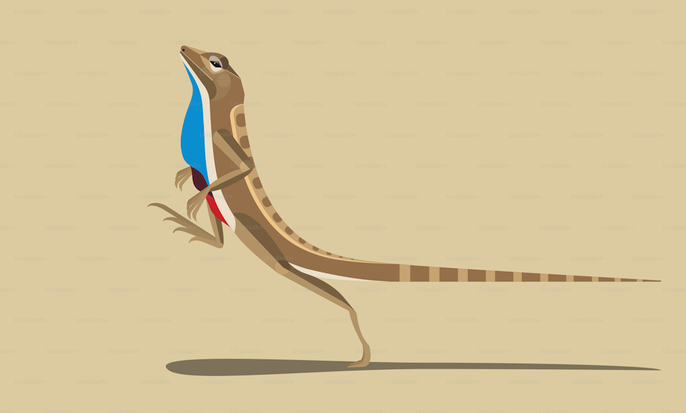 The lizard Agama Sitana runs very quickly on its hind legs. This kind of movement looks funny. Stylized image, vector illustration.