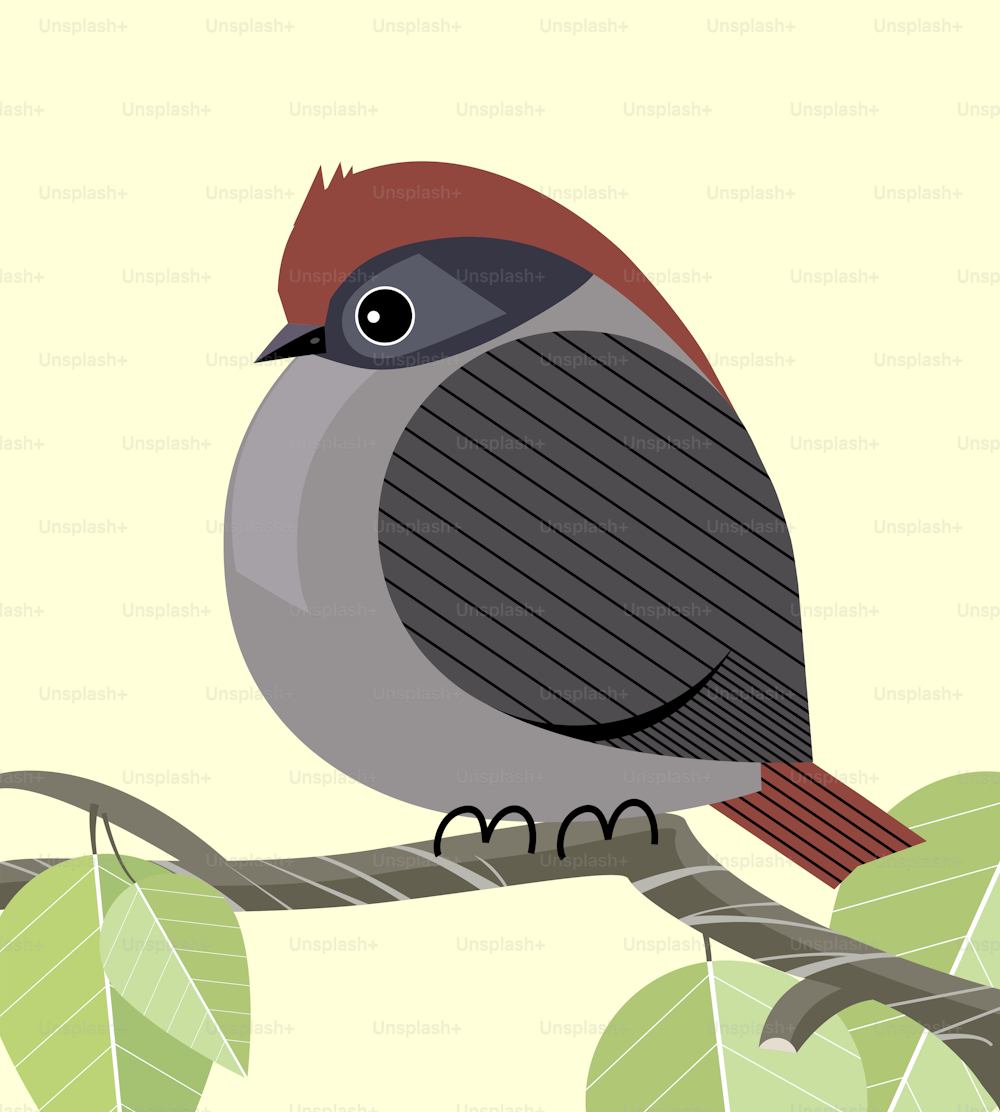 Cute sparrow resting on a tree branch, minimalistic image