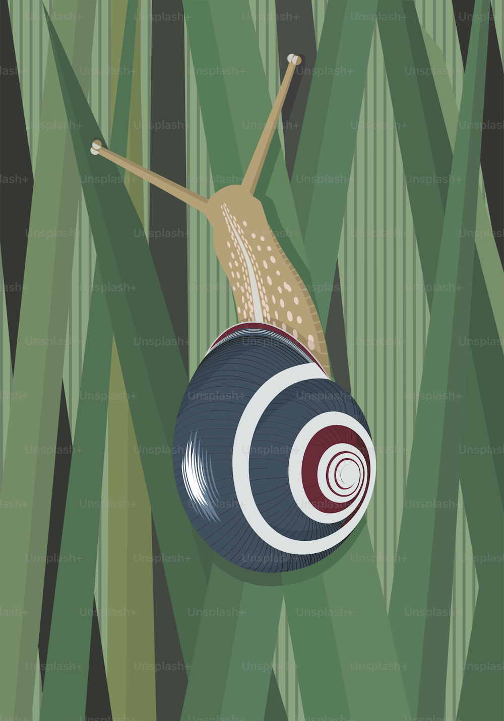 Snail climbs up the stalks of grass