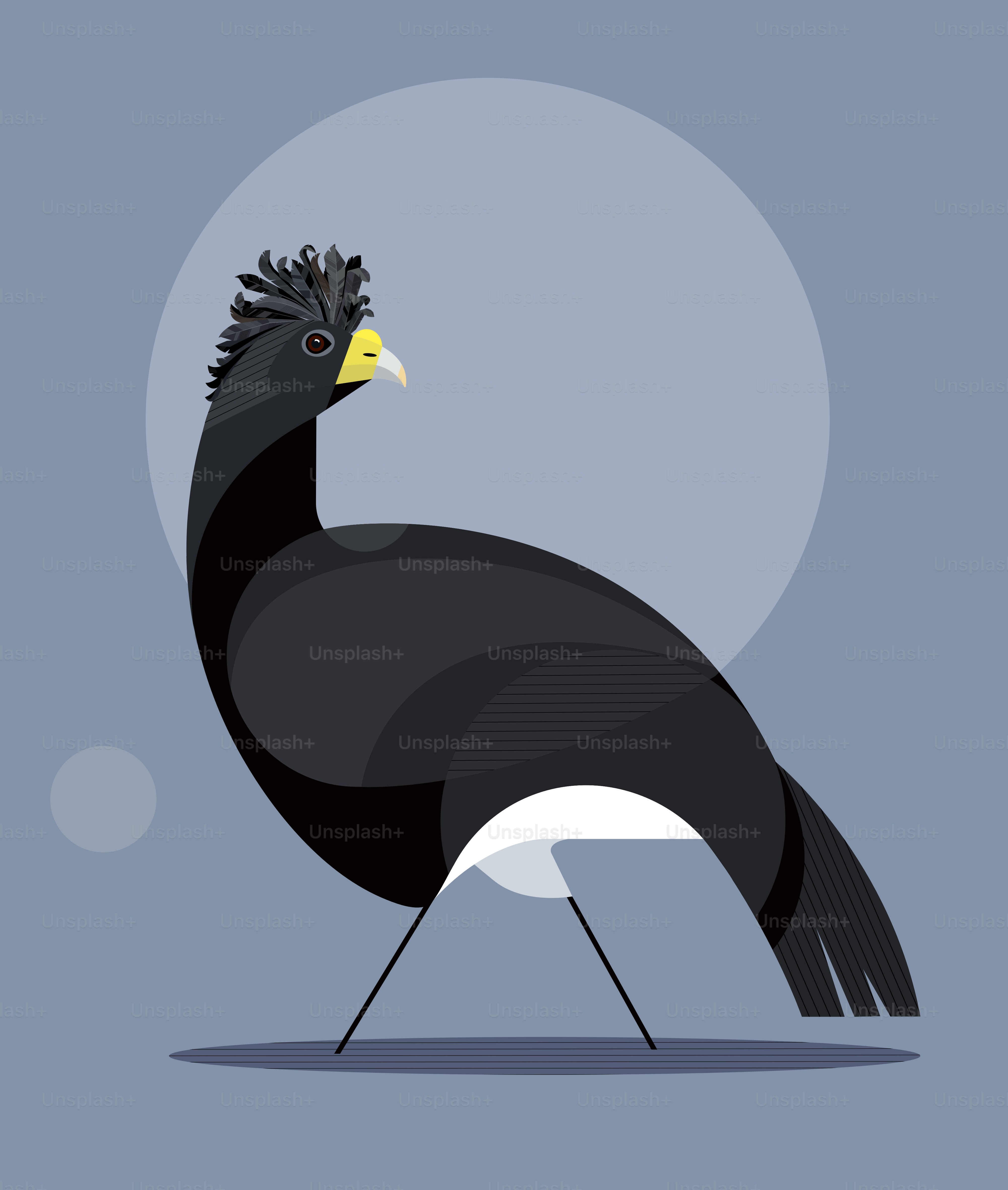 Curassow besar hitam dengan lambang yang megah dan paruh kuning dengan latar belakang biru, gambar bergaya, vektor