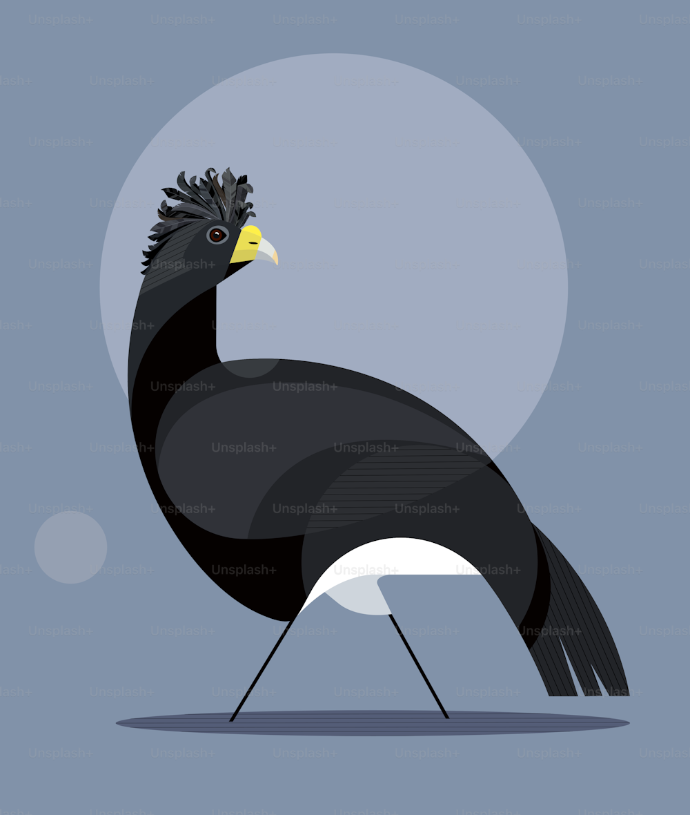 Black great curassow with a magnificent crest and yellow beak on a blue background, stylized image, vector