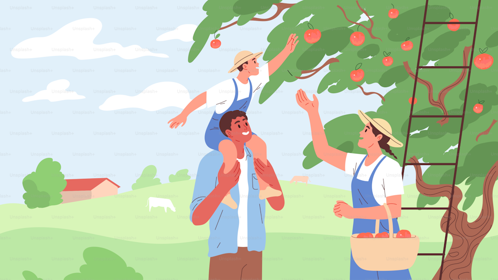 Familia en huerto recogiendo manzanas, agricultores cosechando