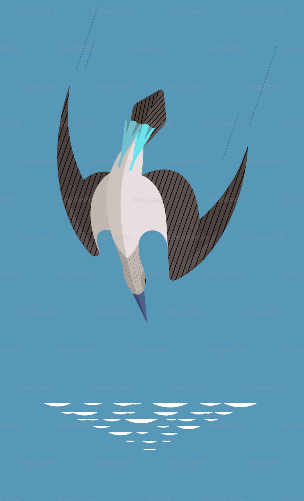 Blaufußtölpel sind an Land lustig und tollpatschig. Aber in der Luft ist dieser Vogel ein flinker Jäger, der seine Beute blitzschnell angreift. Stilisiertes Bild.
