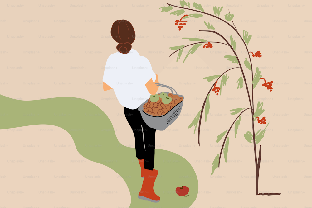 Ilustración vectorial de una mujer joven recogiendo bayas en el jardín o bosque, vista desde la parte trasera