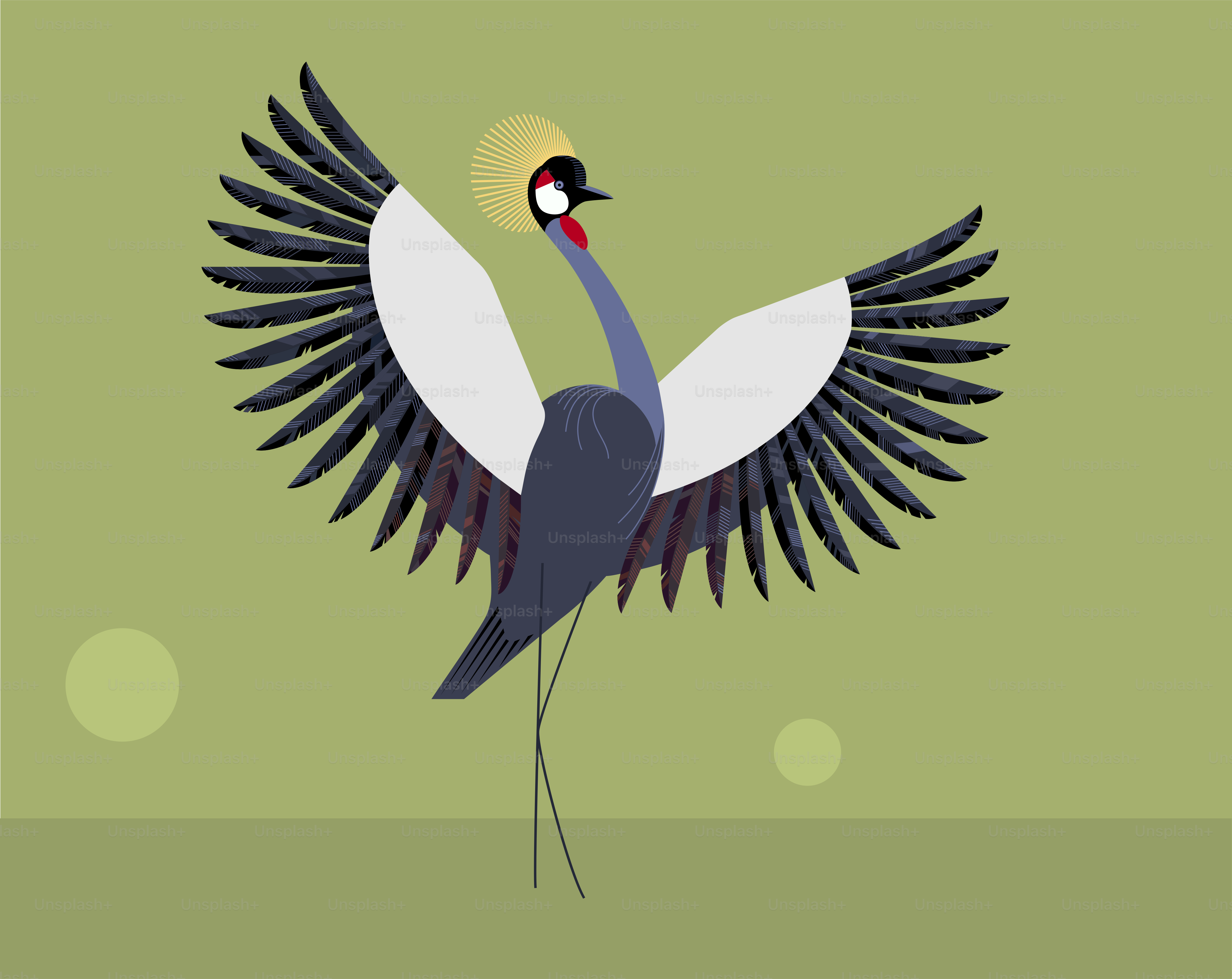 The wedding dance of the crowned crane on green background