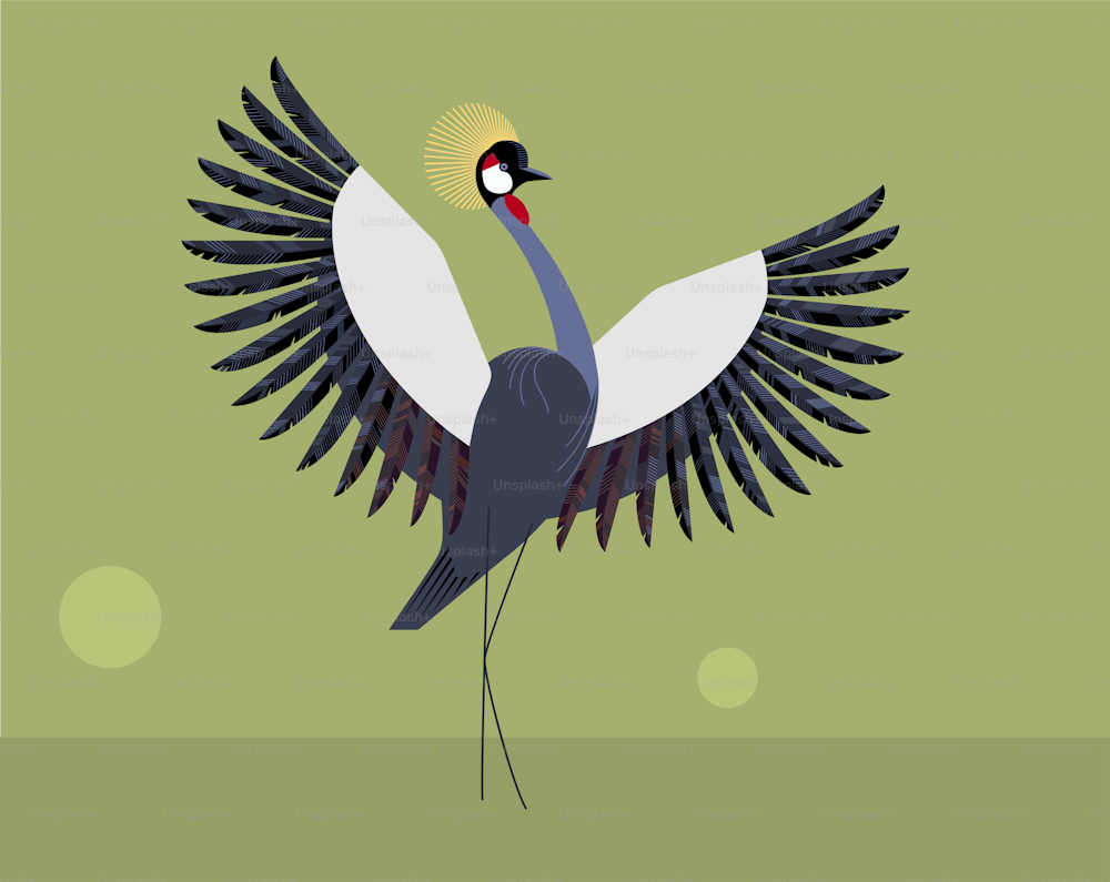 The wedding dance of the crowned crane on green background