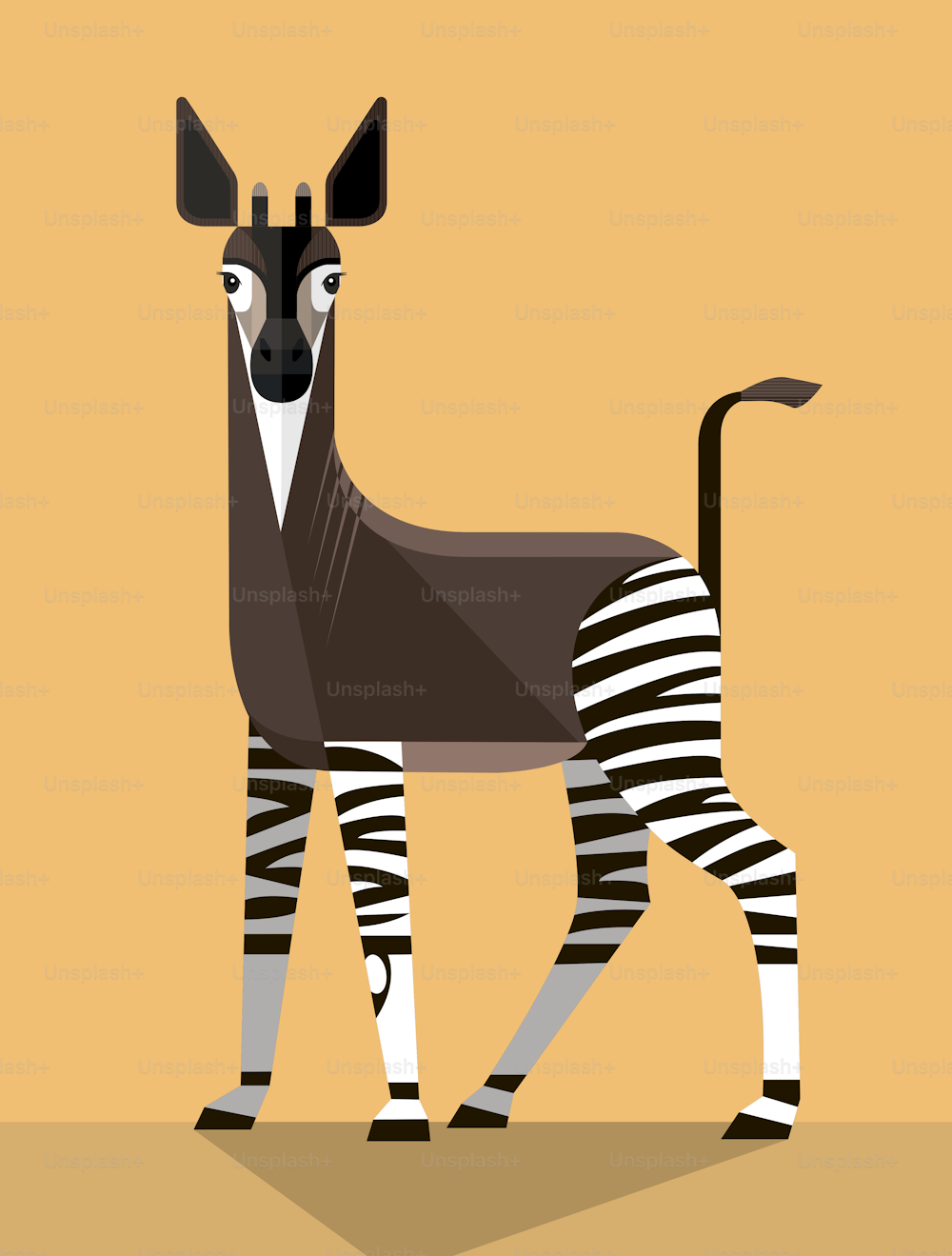 The unusual animal okapi is a member of the giraffe family, but looks like a horse and a zebra, stylized image, vector illustration