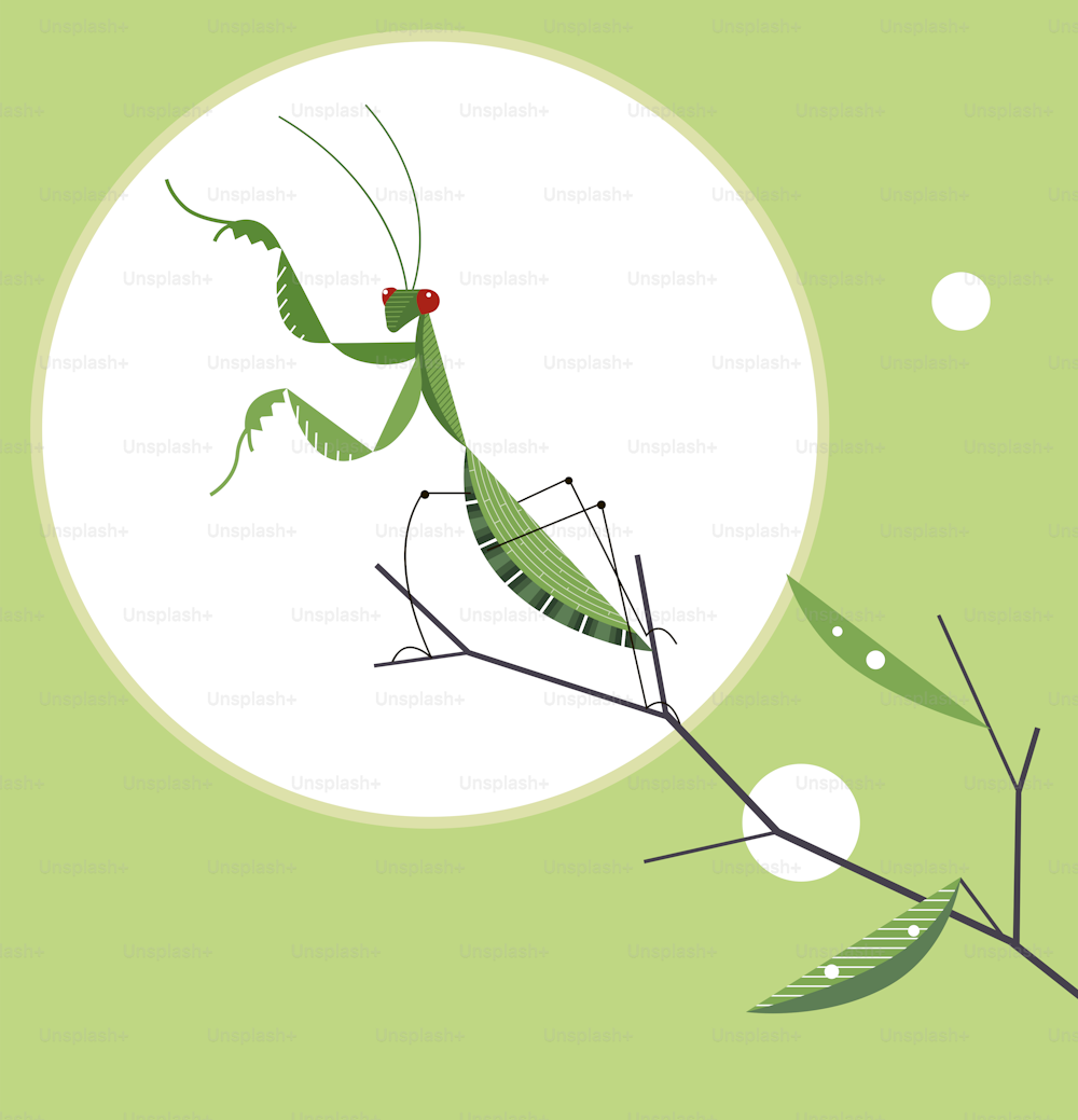 Mantis en la rama de un árbol en una posición de lucha contra el fondo del sol, imagen minimalista