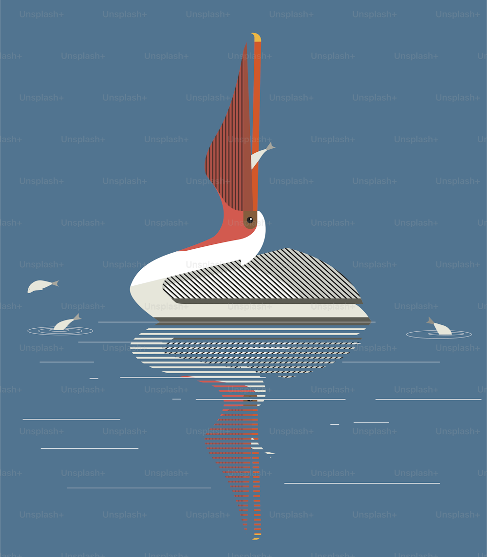 Pellicano cattura pesci nel lago, vettore, immagine minimalista