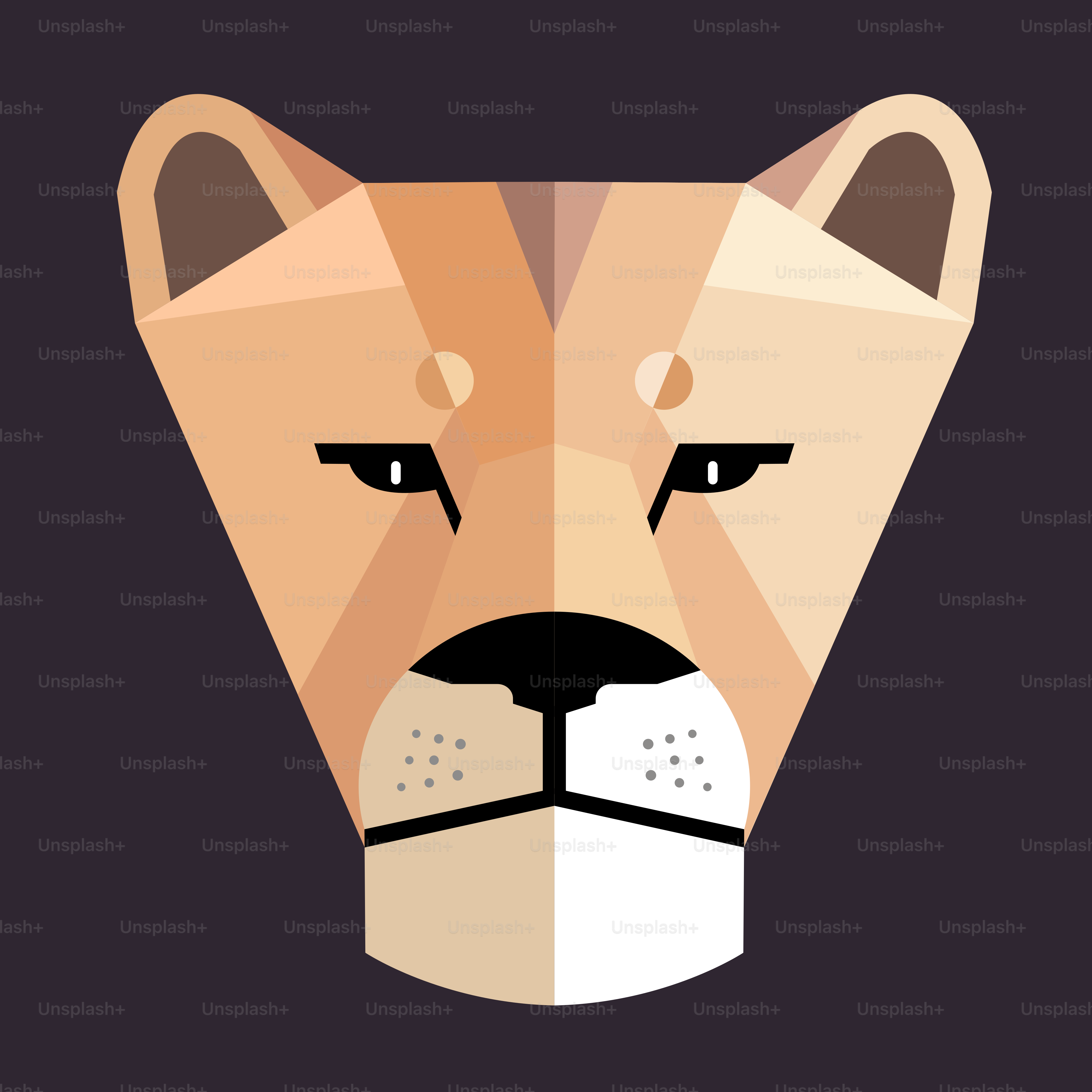 Lioness portrait on a dark background, stylized image