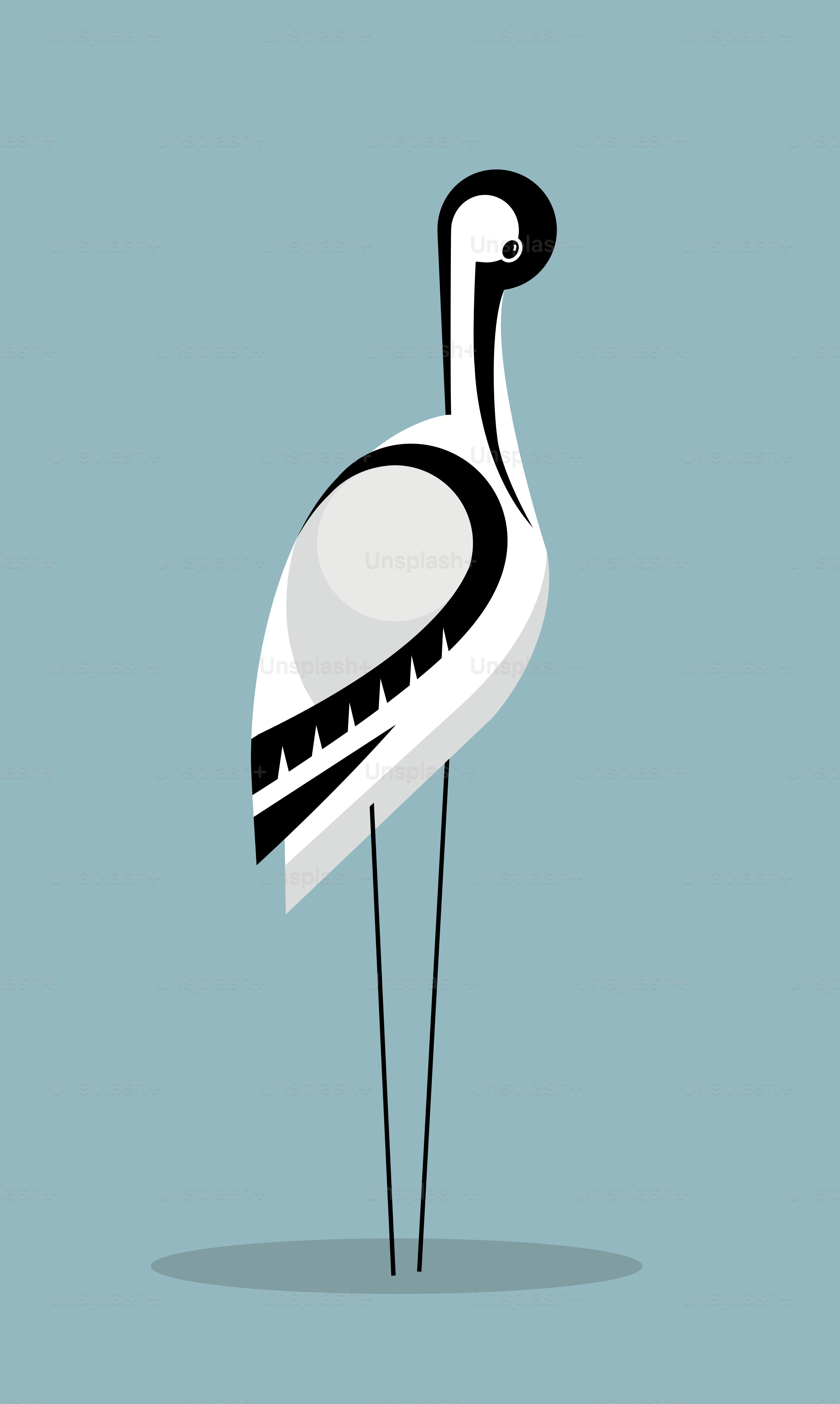 L’avocette nettoie les plumes, image stylisée, vecteur