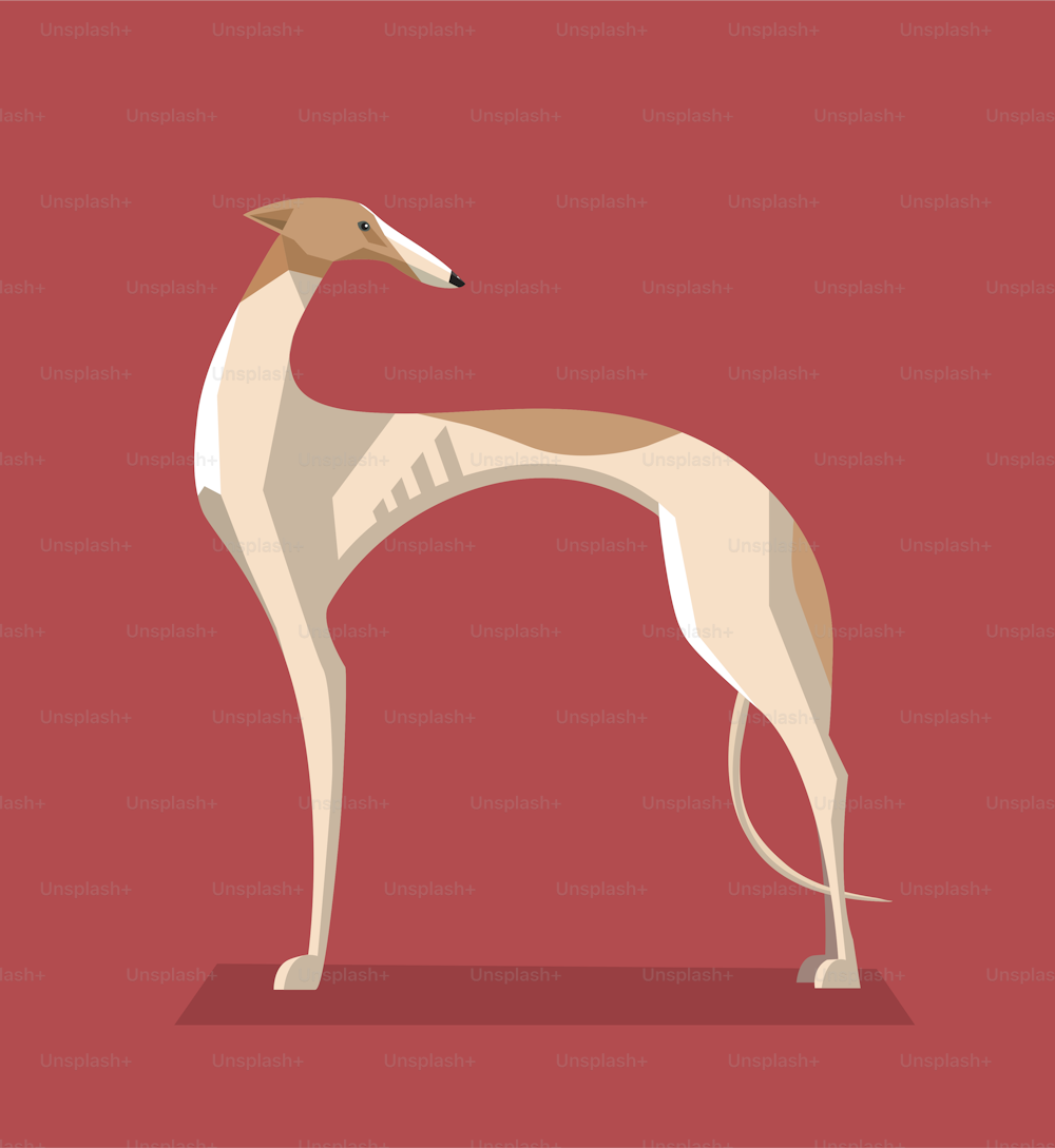 Imagen minimalista del perro galgo sobre fondo rojo