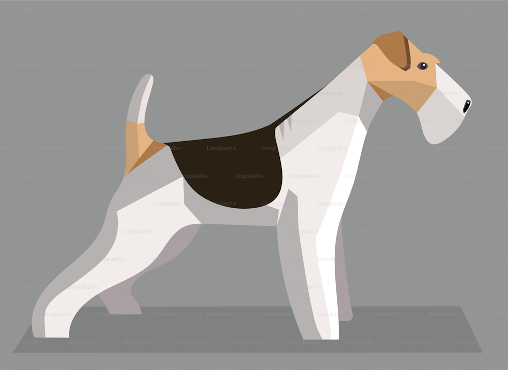 Fox Terrier minimalist image on a gray background
