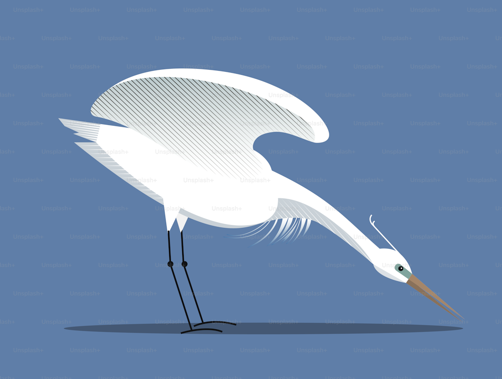 White egret spreads its wings, minimalist style