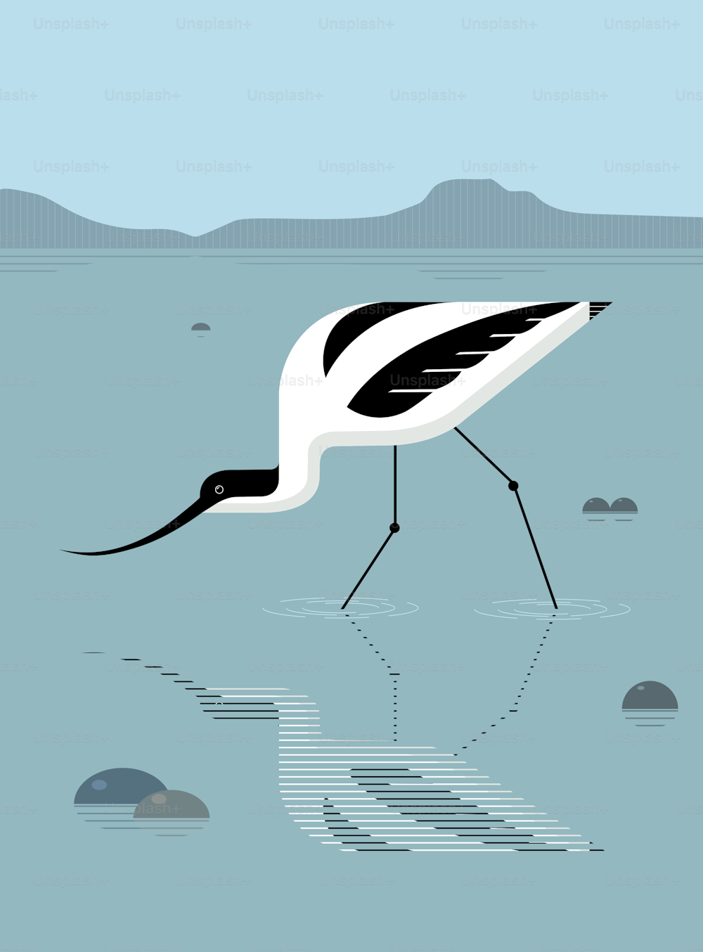 Avocet foraging in the river, stylized image, vector