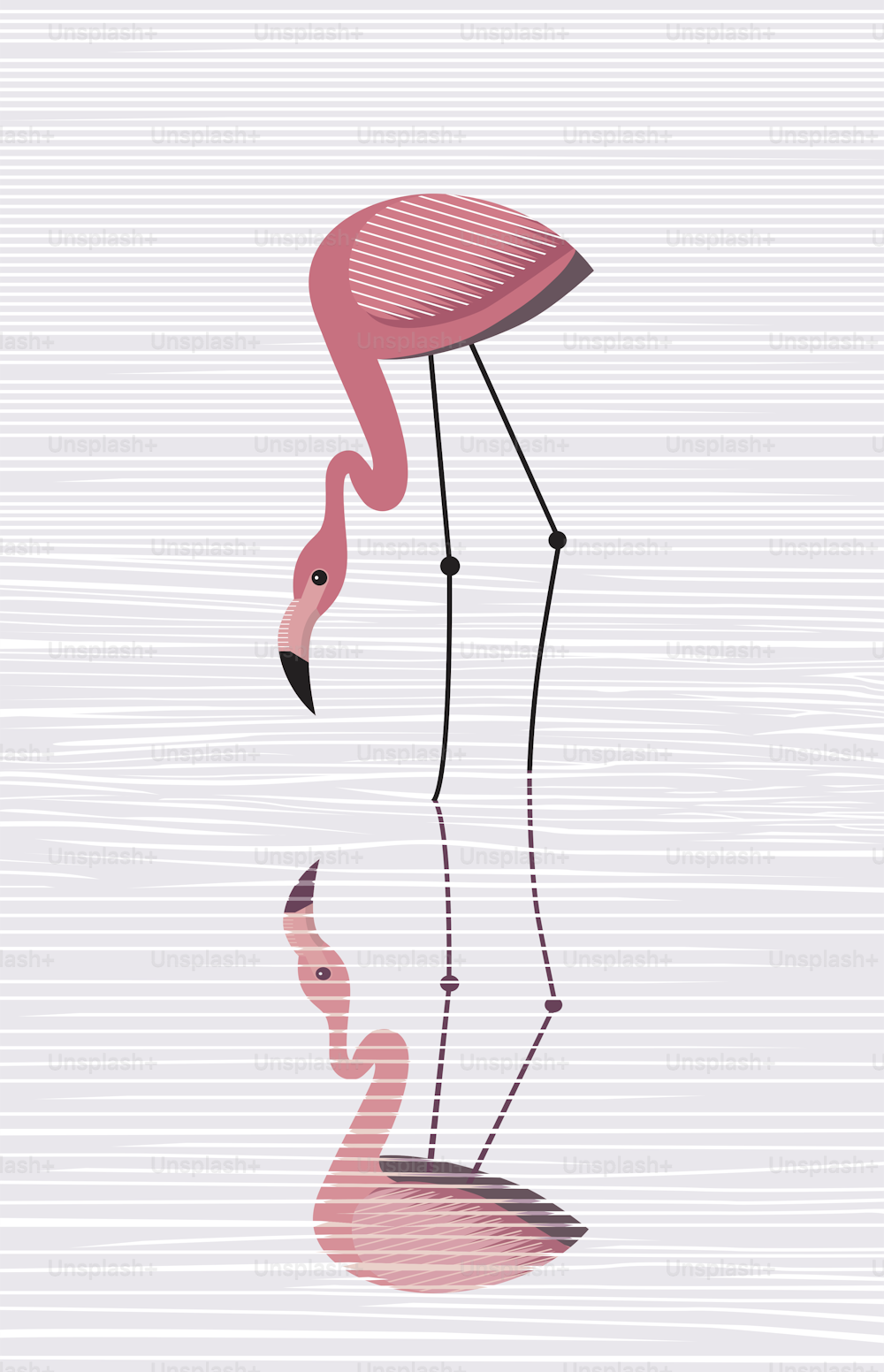 Elegant pink flamingo are reflected in water, vector, minimalistic image