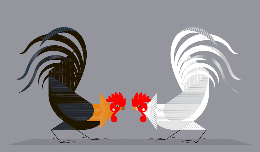 Red-black and white roosters are preparing for battle, stylized image