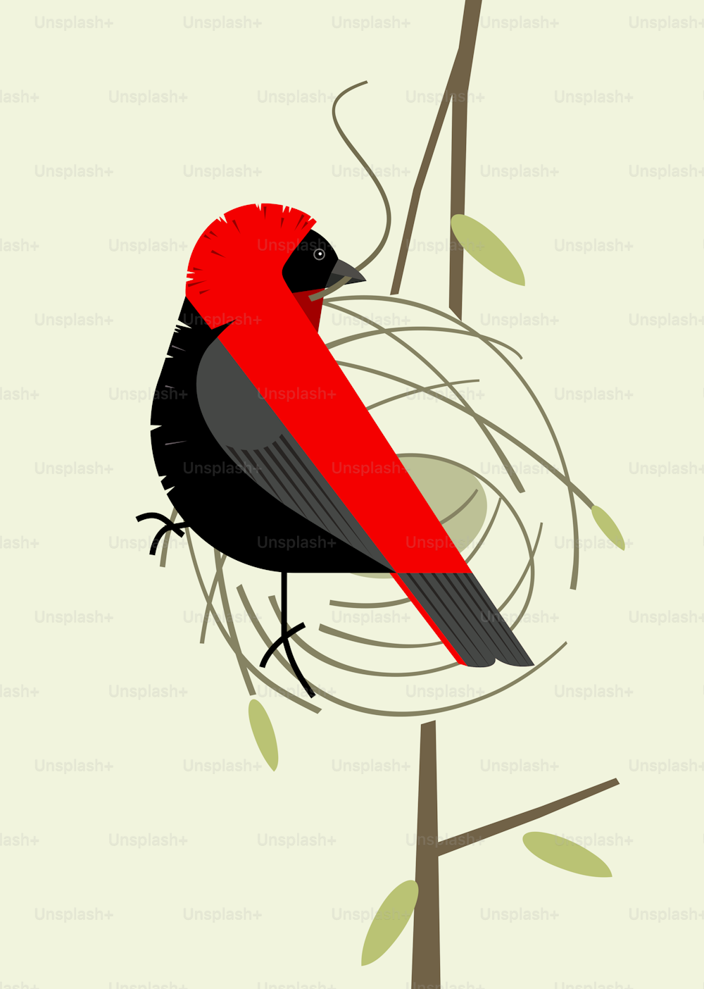 Red bishop dresses in bright plumage during mating and builds a nest on light green background, stylized image