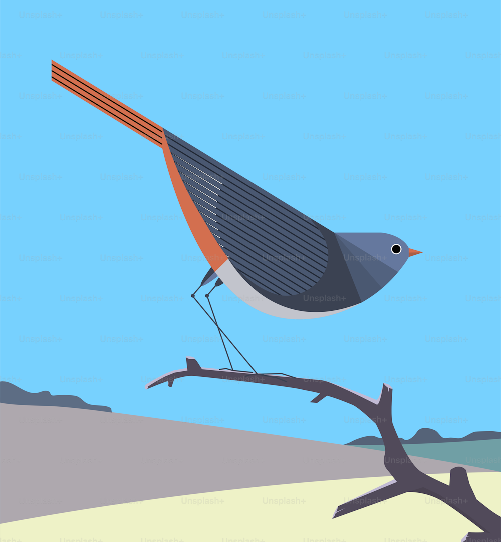 Redstart with a bright orange tail sits on a dry tree branch on a background of rolling hills