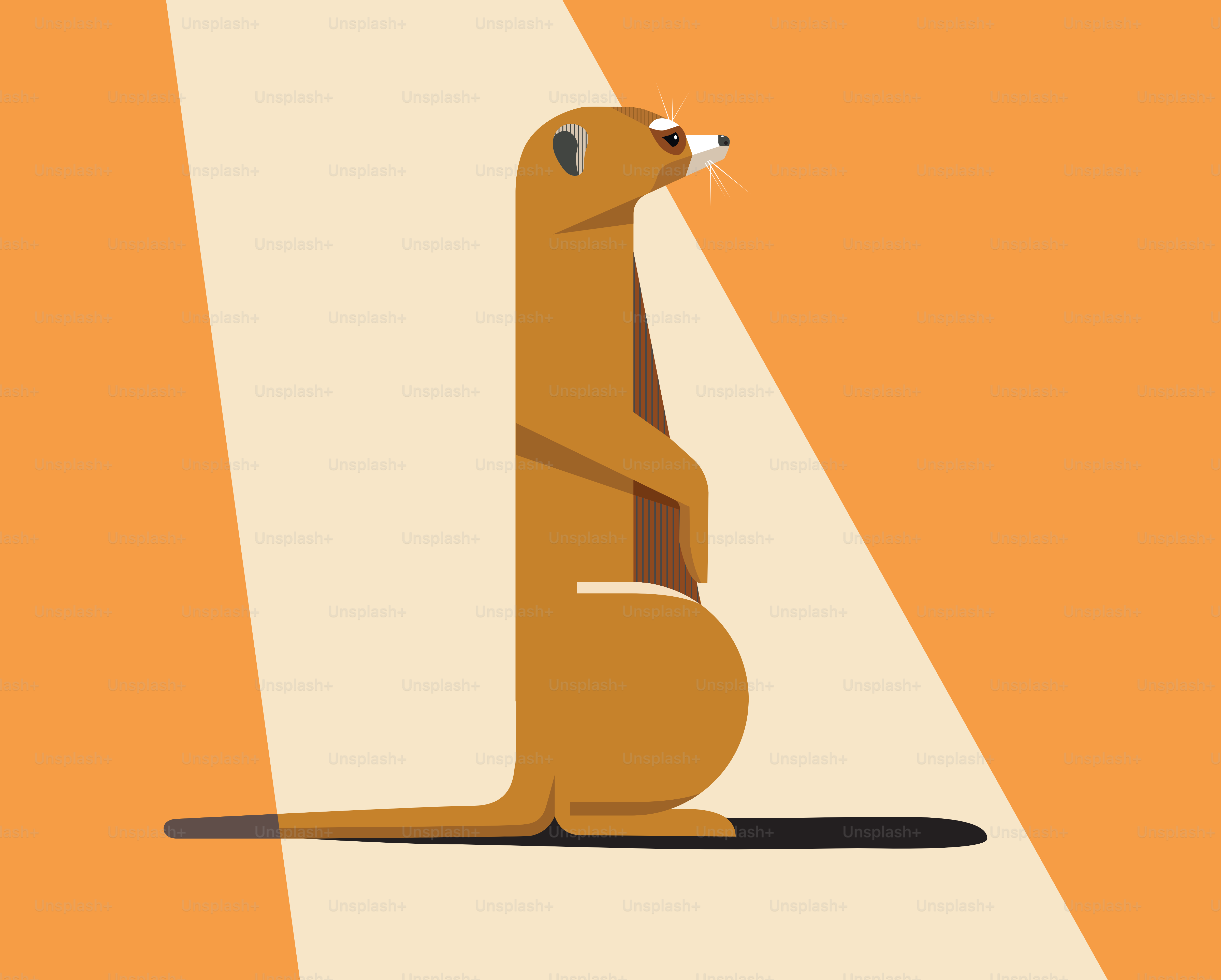 Meerkat berjemur di bawah sinar matahari, ilustrasi minimalis