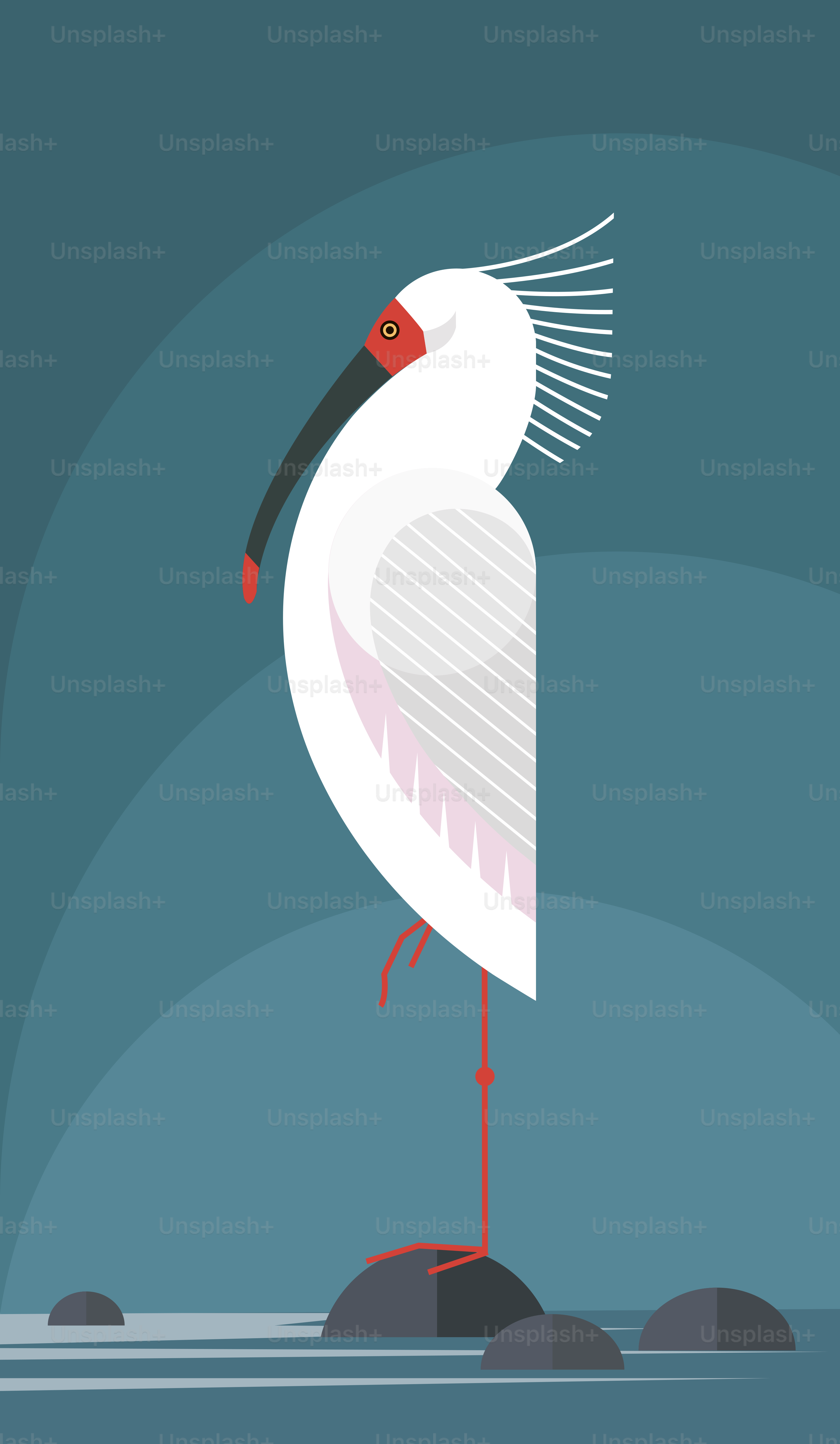 Nipponia nippon resting, standing on one leg on a stone, stylized image, vector