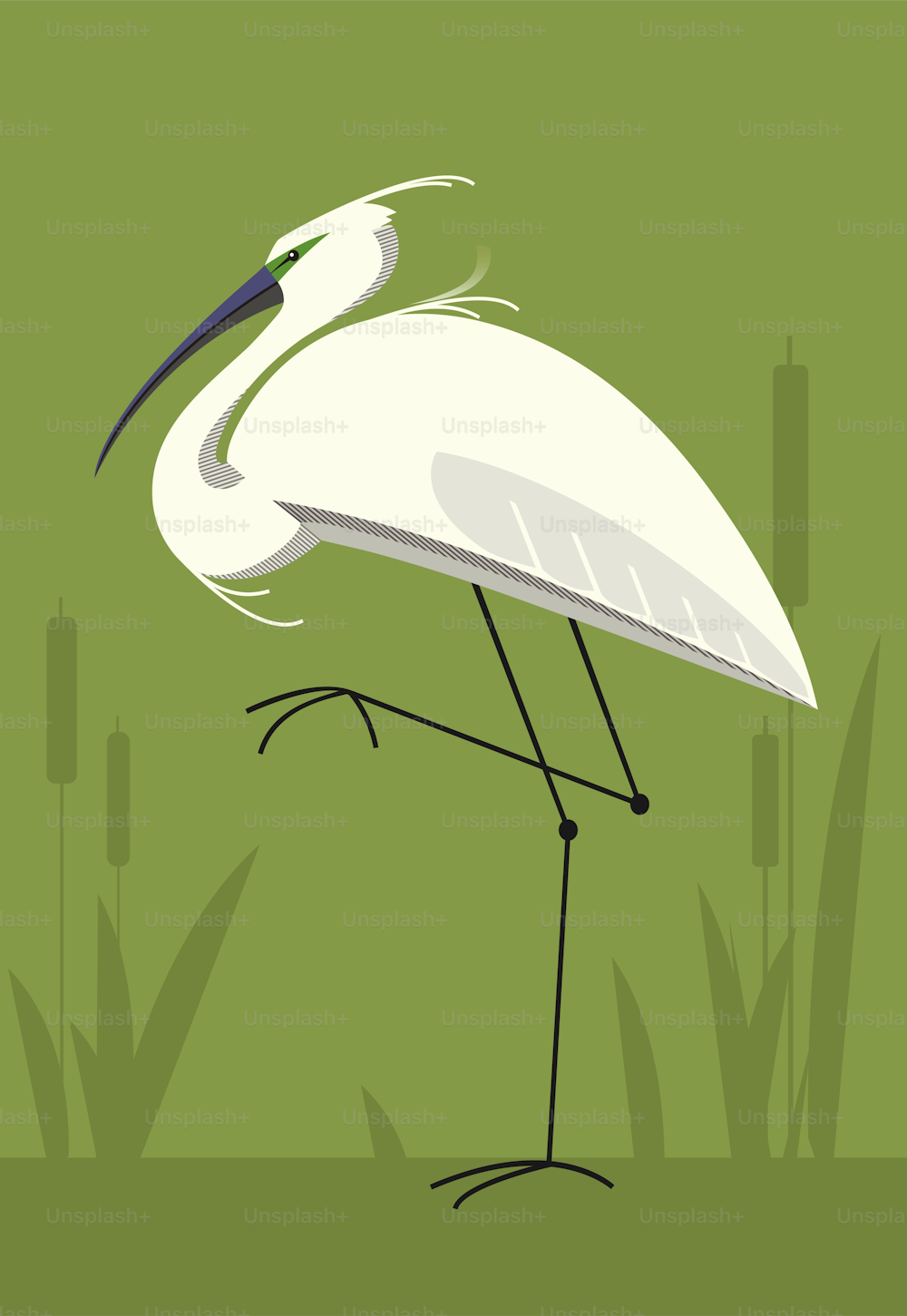 Little Egret on green background, minimalistic image