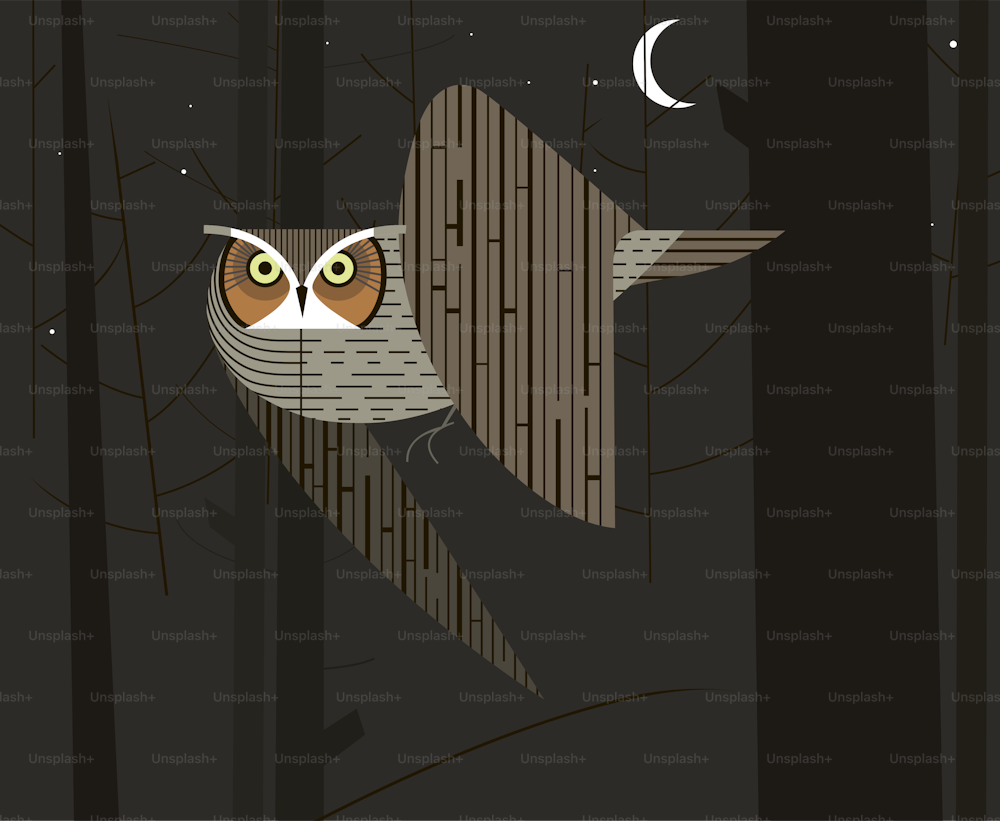 Owl hunts in the night forest on dark background