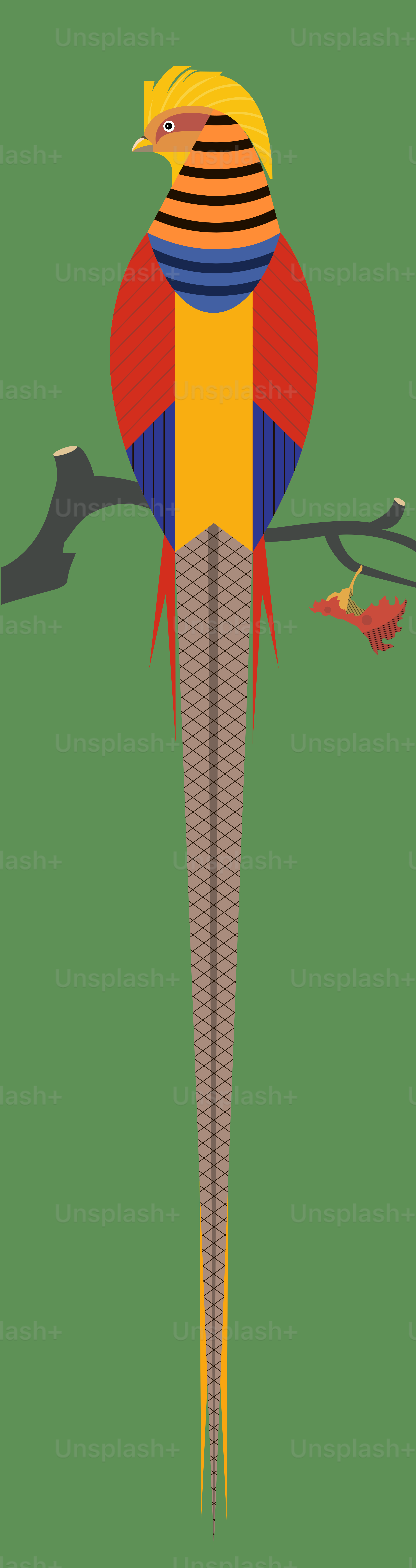 Golden Chinese pheasant in bright plumage sits on a branch, minimalist style