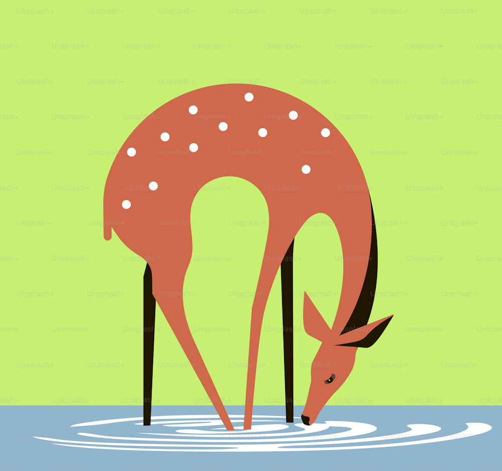 Graceful doe drinks water from a forest lake