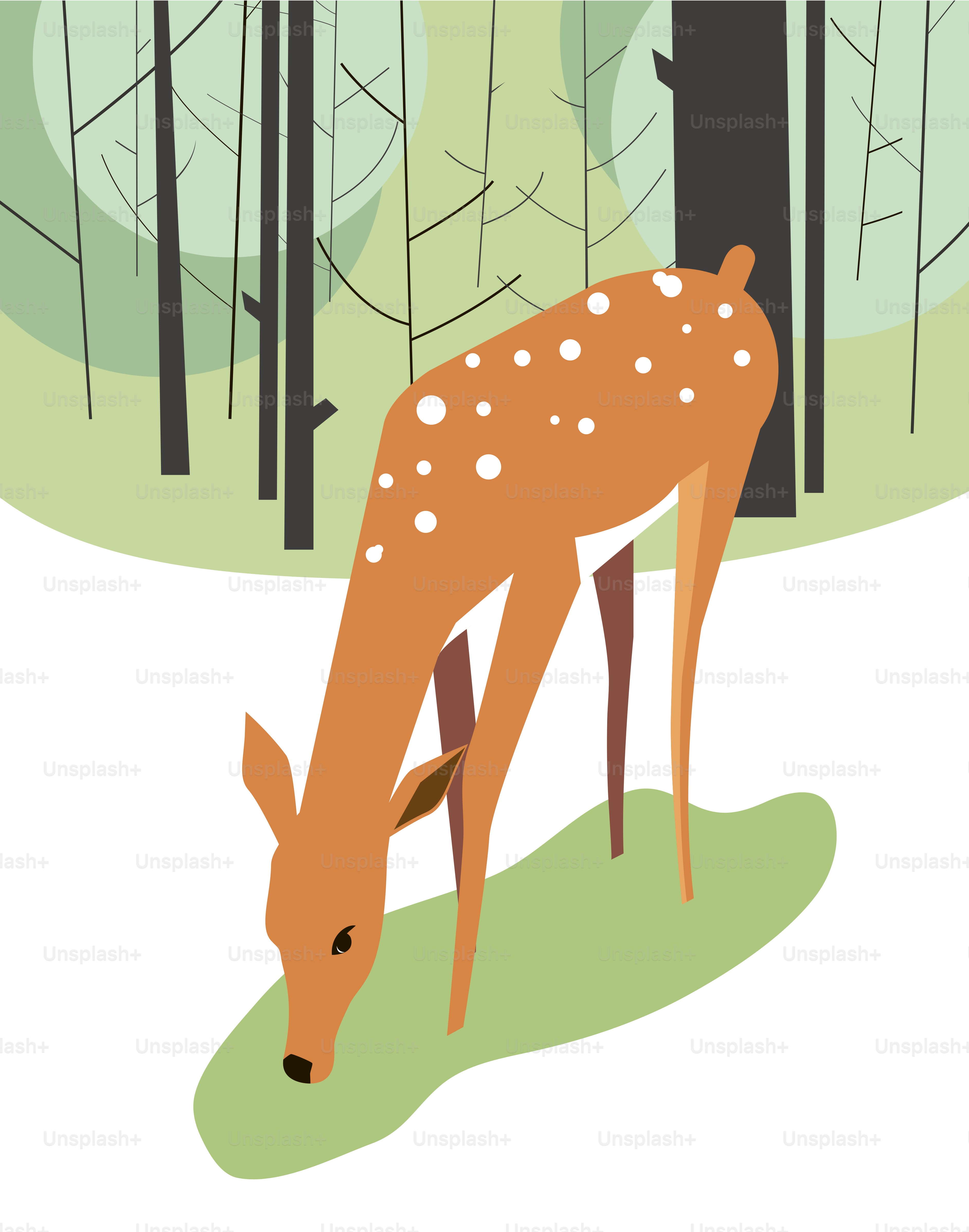 Veados pastam na borda da floresta