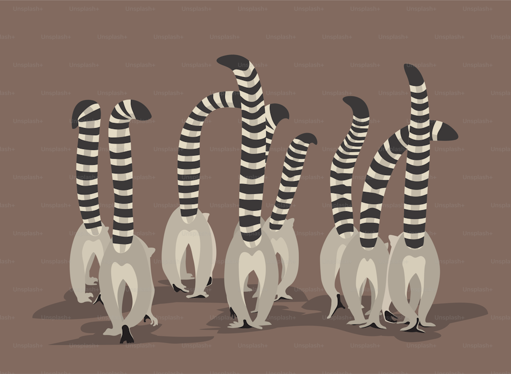 A flock of lemurs moves with proudly raised striped tails