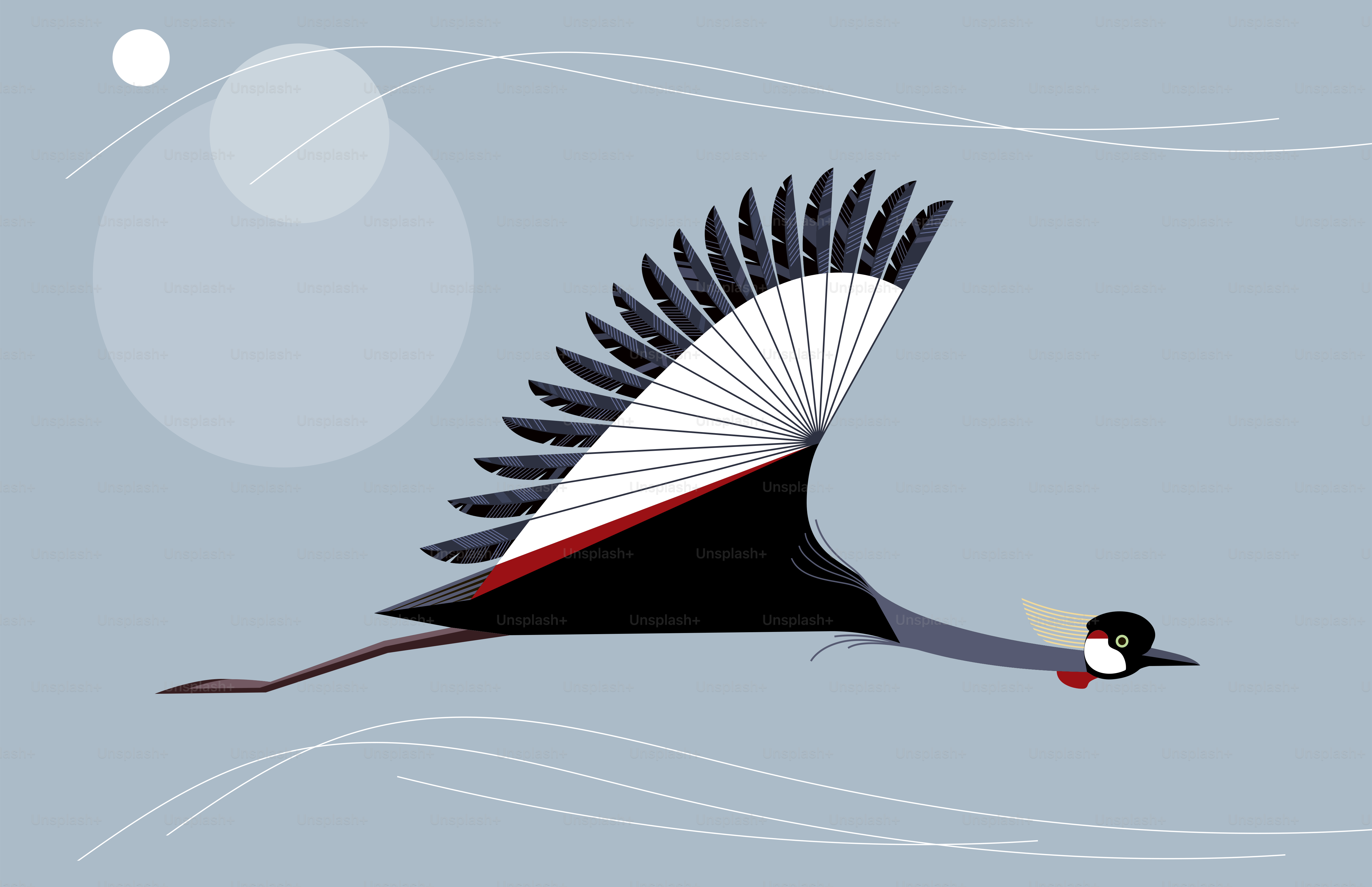 Crowned crane flies on sky background, minimalist style