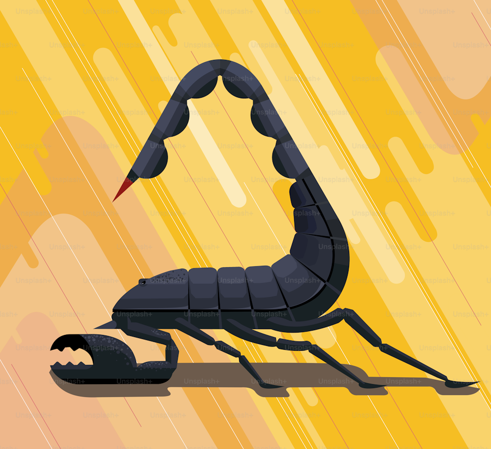 Scorpion in a pose of a rounded triangle on a yellow background, stylized image, vector illustration