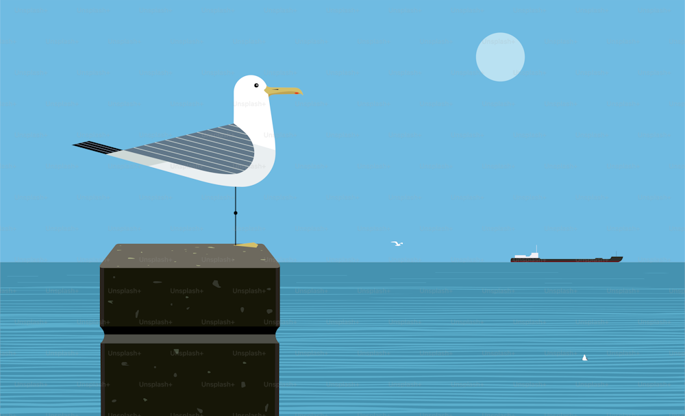Silver gull or herring gull on sea background