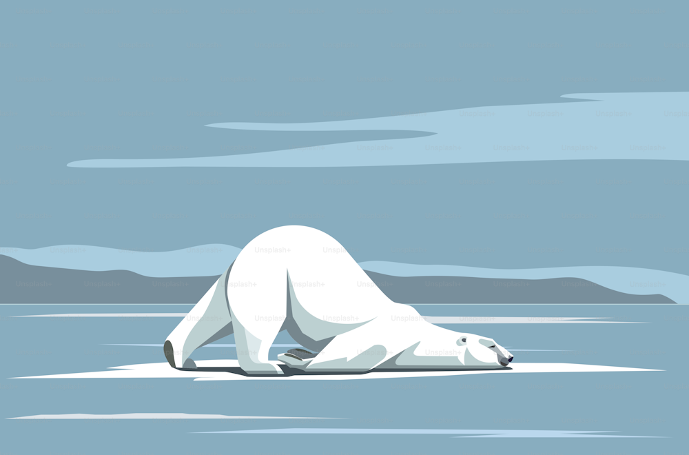 Oso polar grande se desliza divertido en la nieve, limpia el pelaje en el cuello, imagen vectorial estilizada
