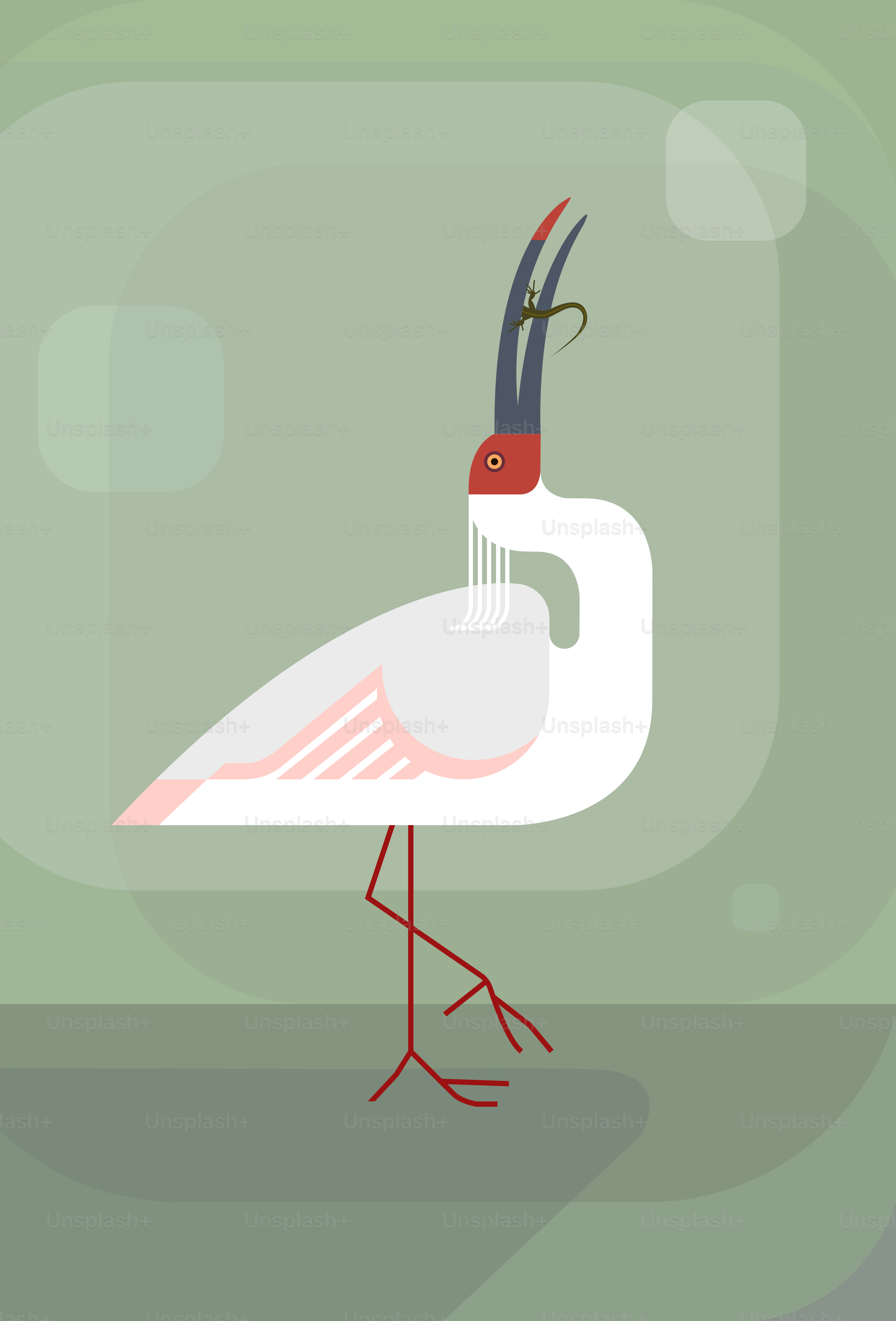 Nipponia Nippon jagt eine Eidechse. Ein wunderschöner und seltener Vogel mit roten Beinen und einem roten Fleck auf dem Kopf. Stilisiertes Bild, Vektor