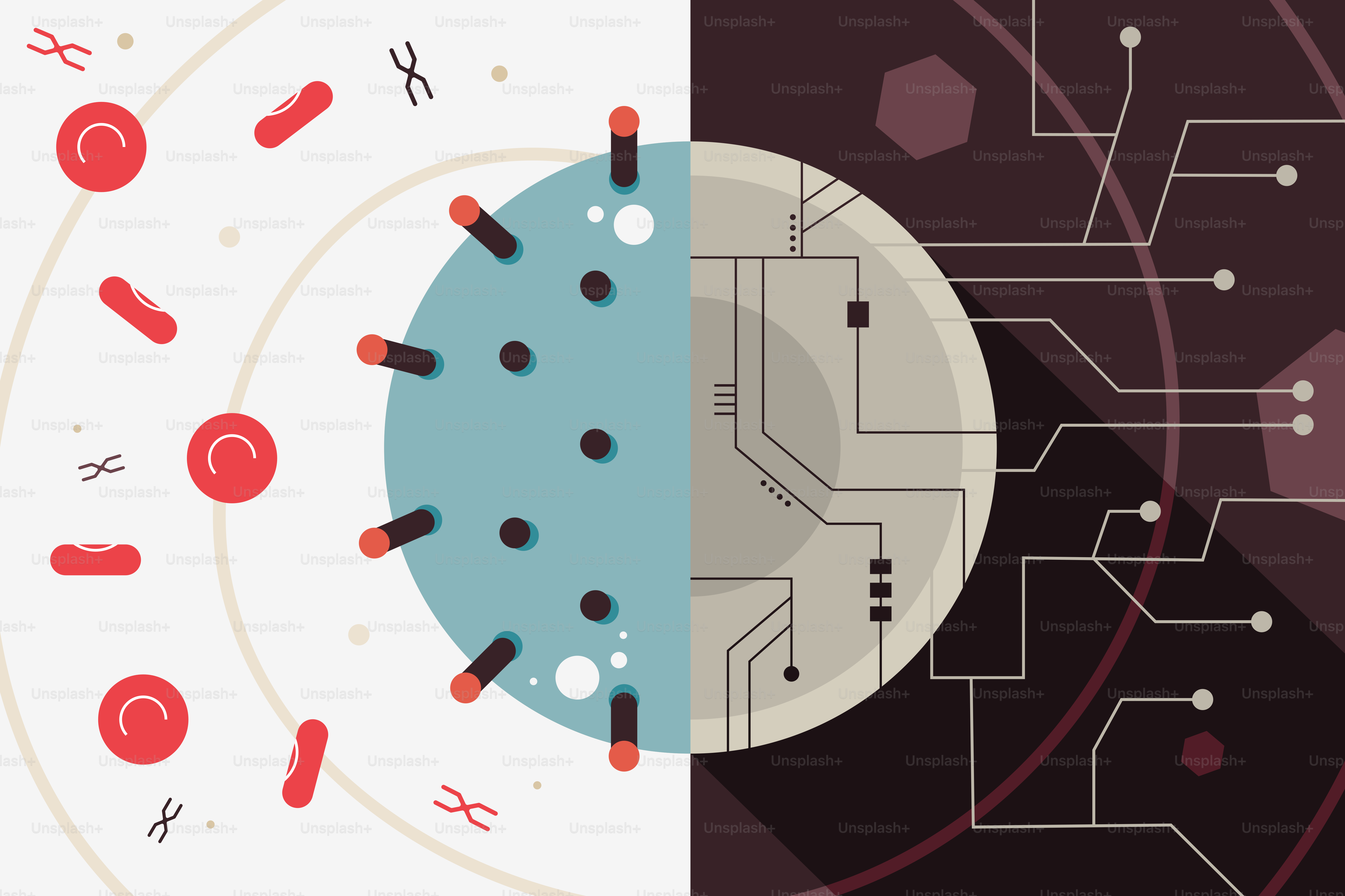 a diagram of a cell and a diagram of a cell