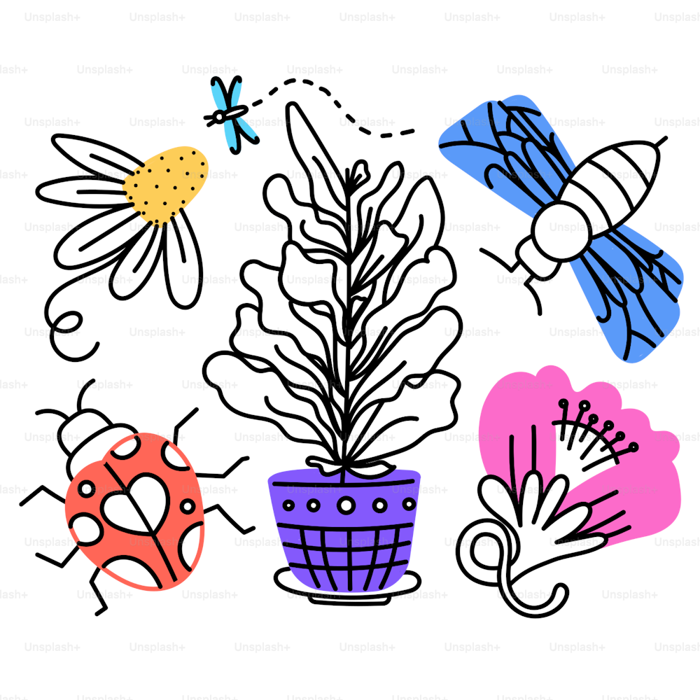 eine Zeichnung einer Topfpflanze mit Marienkäfern