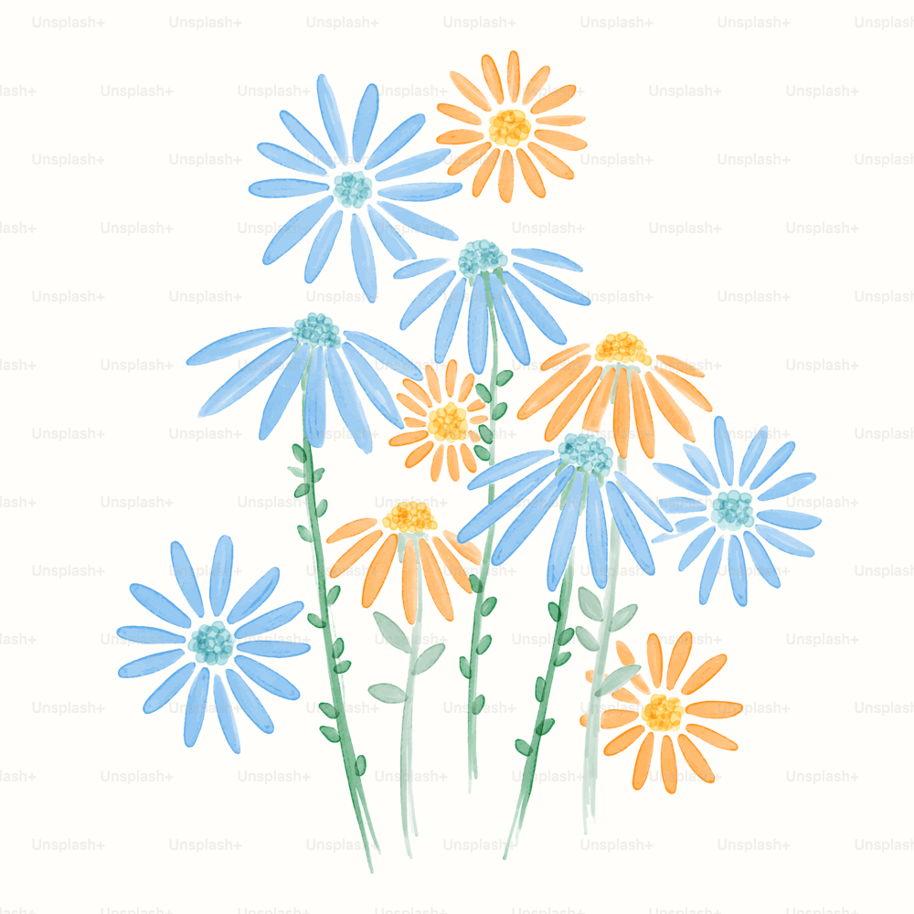 a bunch of colorful flowers on a white background