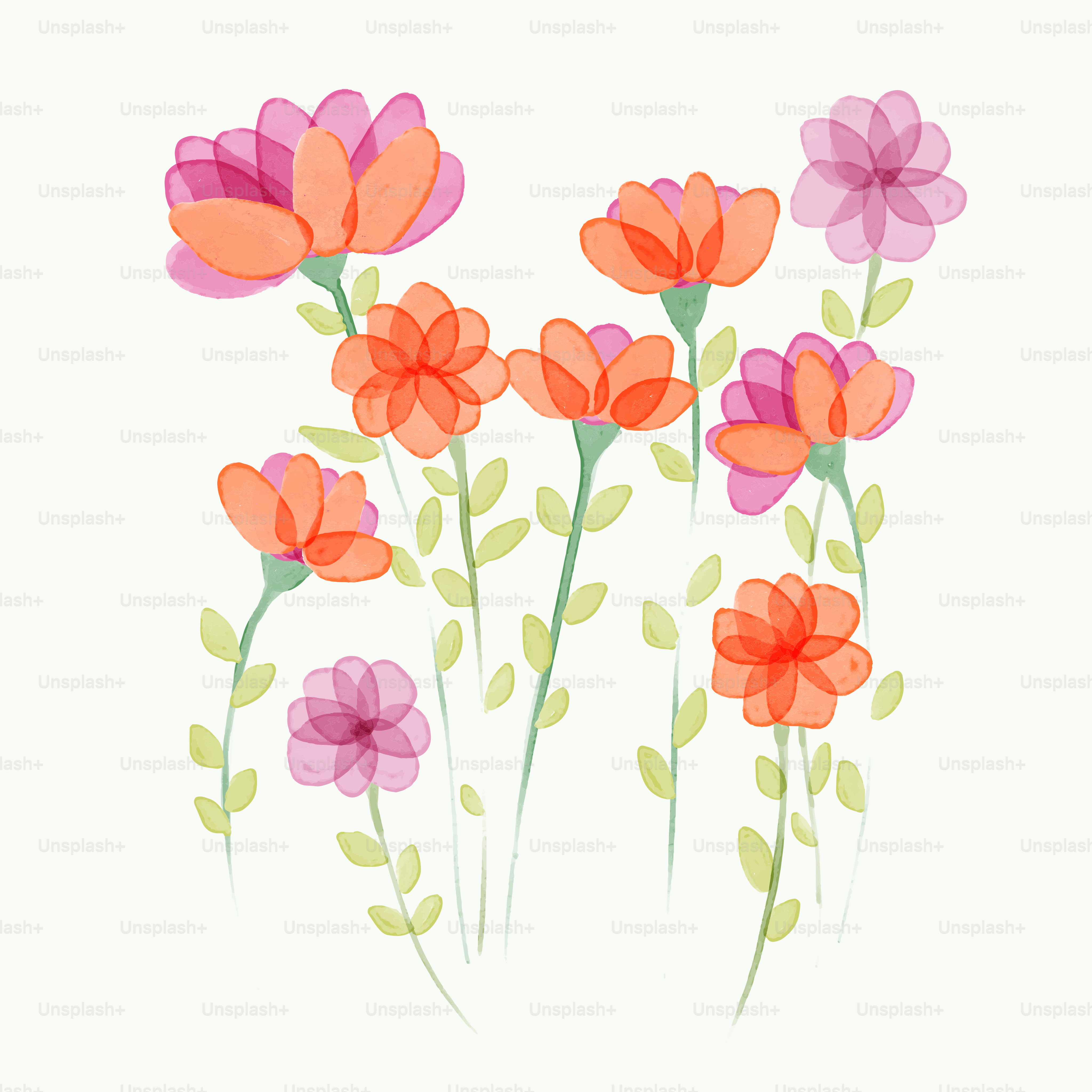 un bouquet de fleurs sur un fond blanc