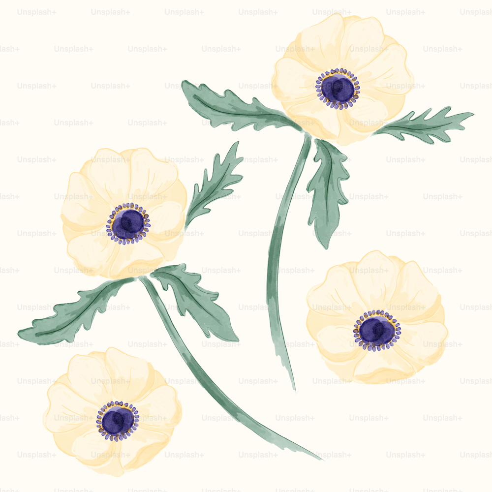 three yellow flowers with green leaves on a white background